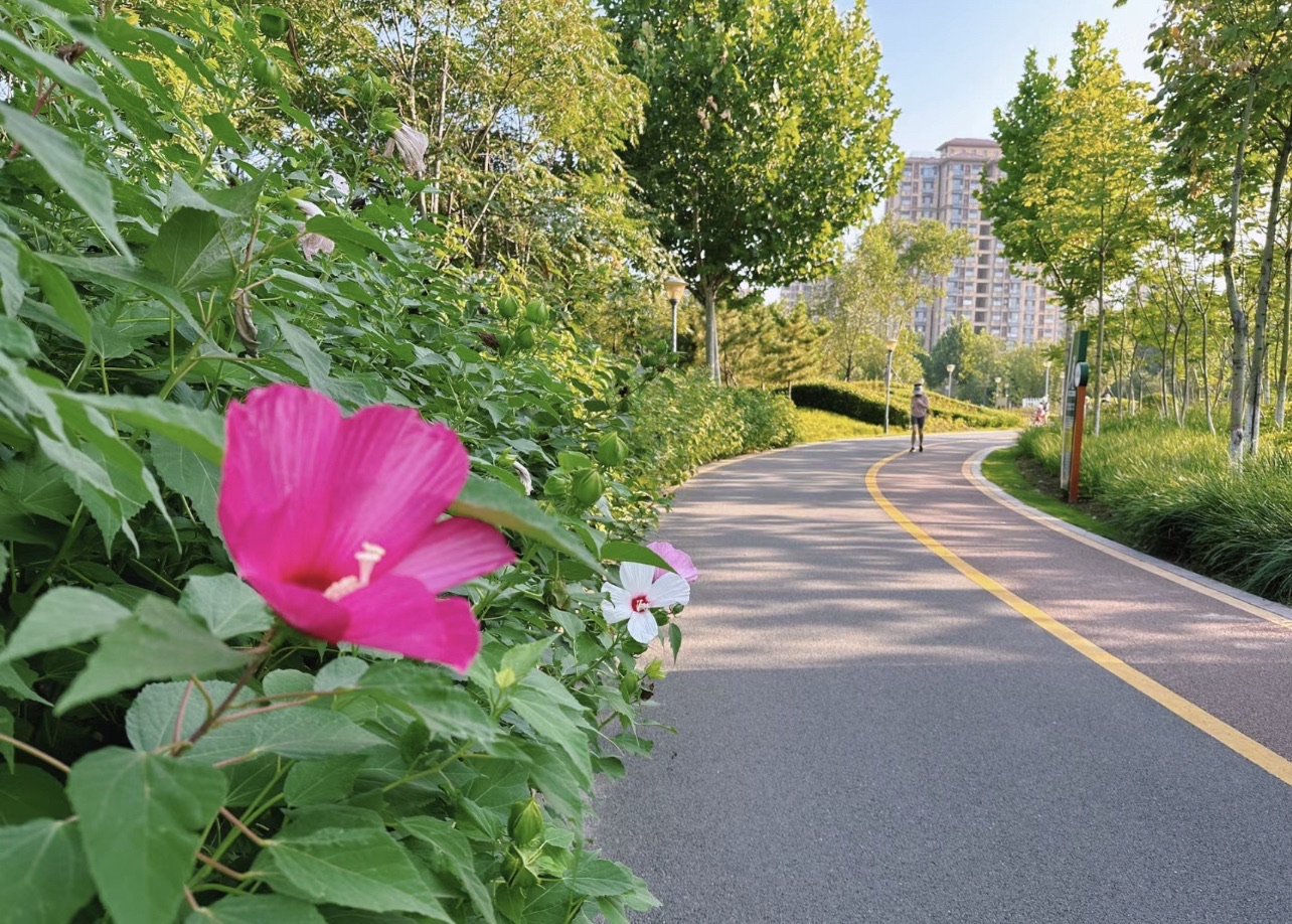 耿井公园