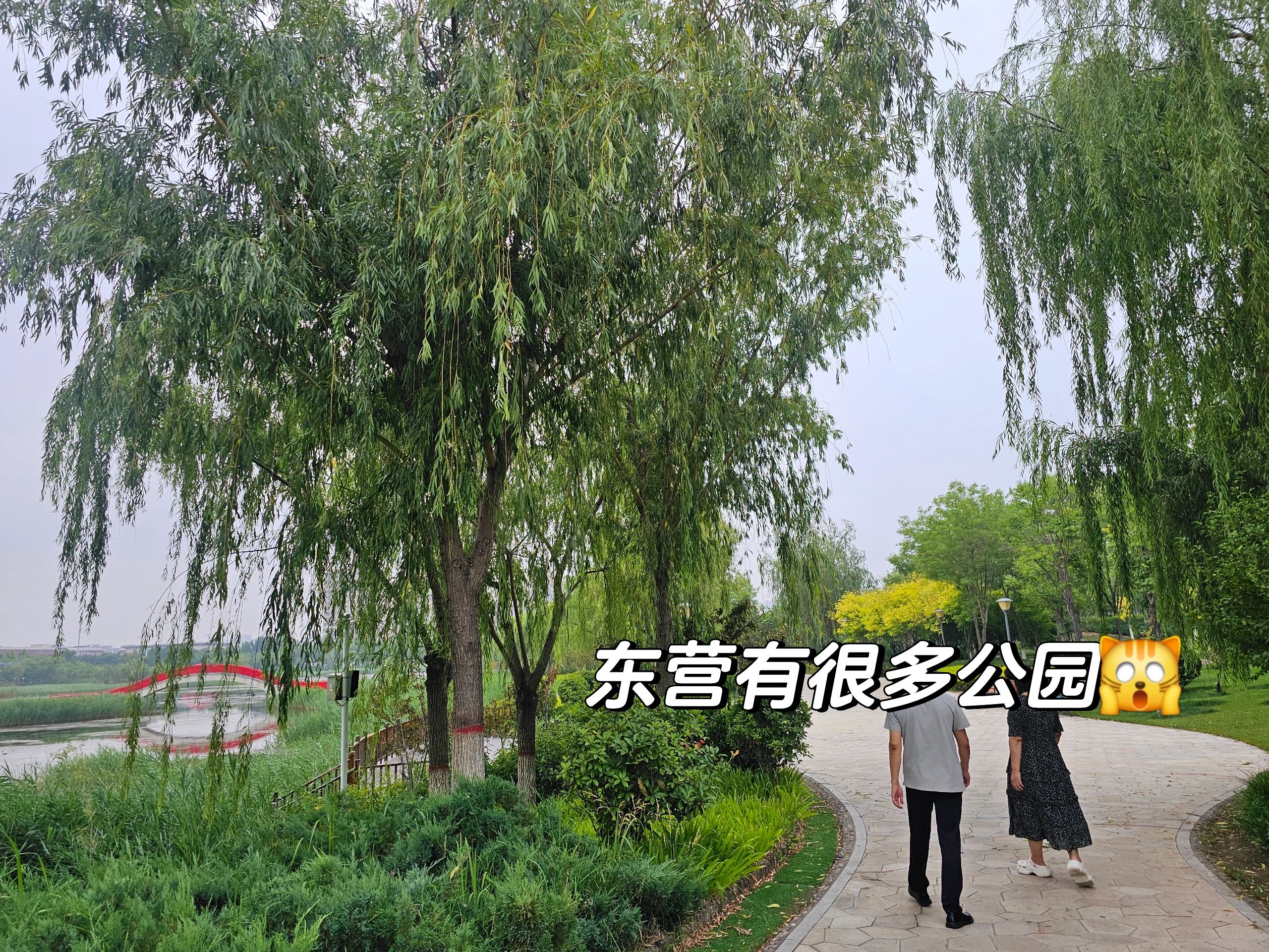 耿井公园旅行图片 1