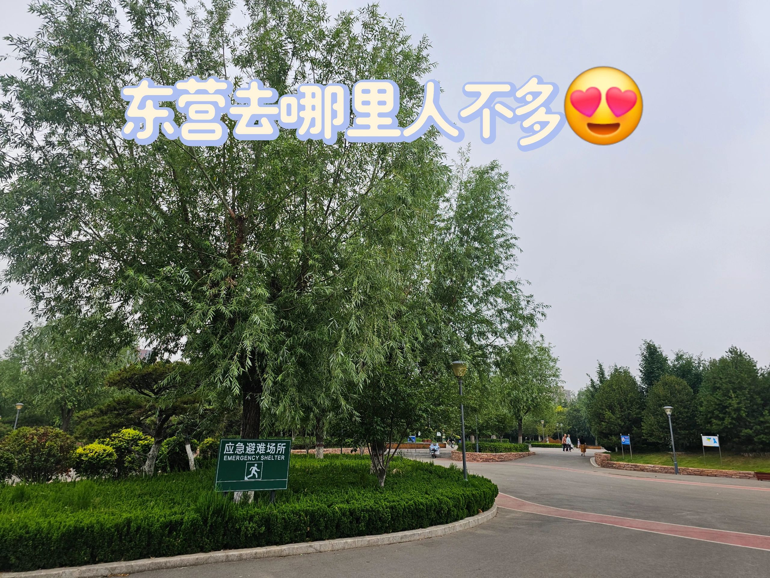 耿井公园旅行图片 2