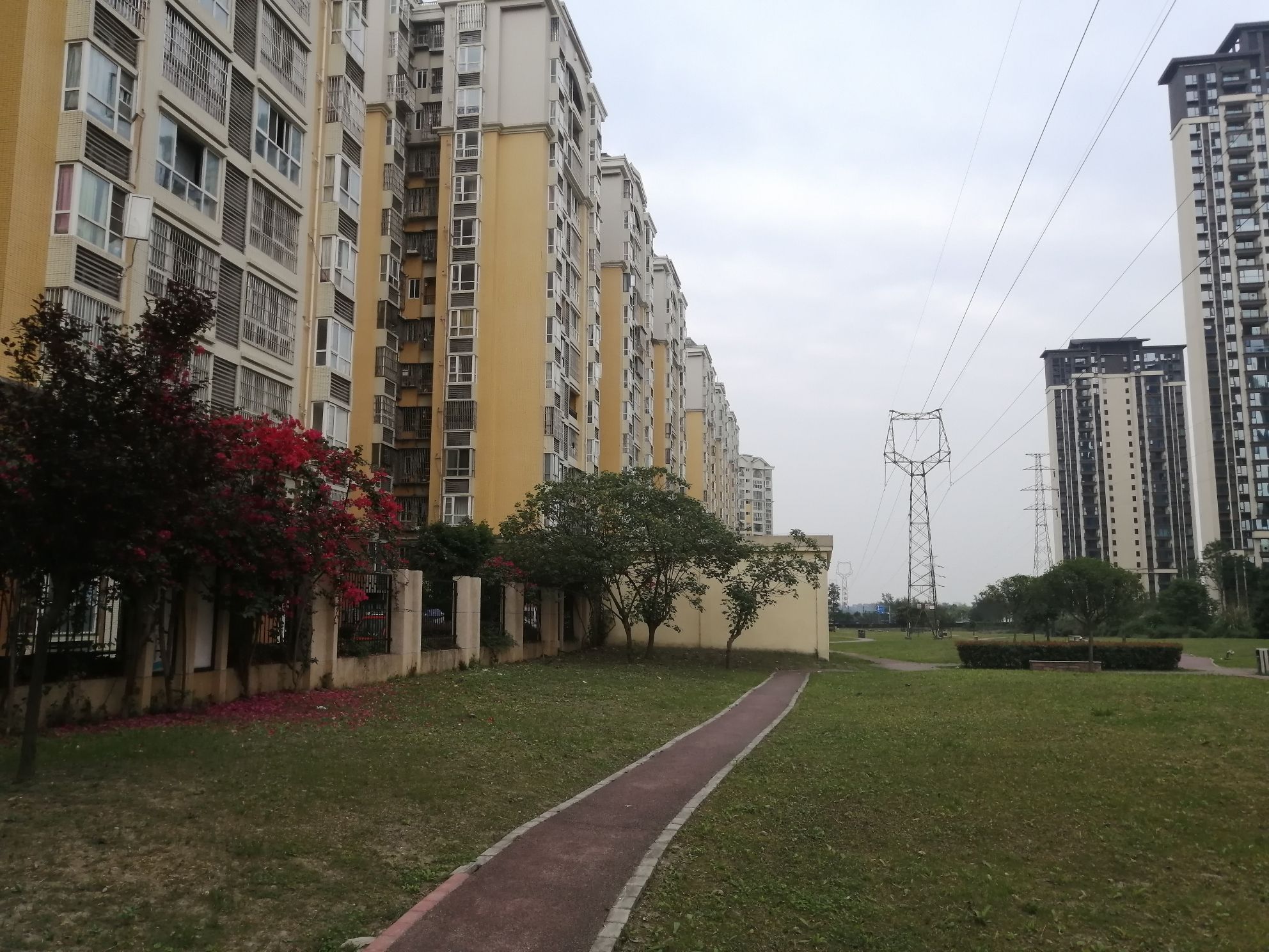 杨柳社区公园旅行图片 2