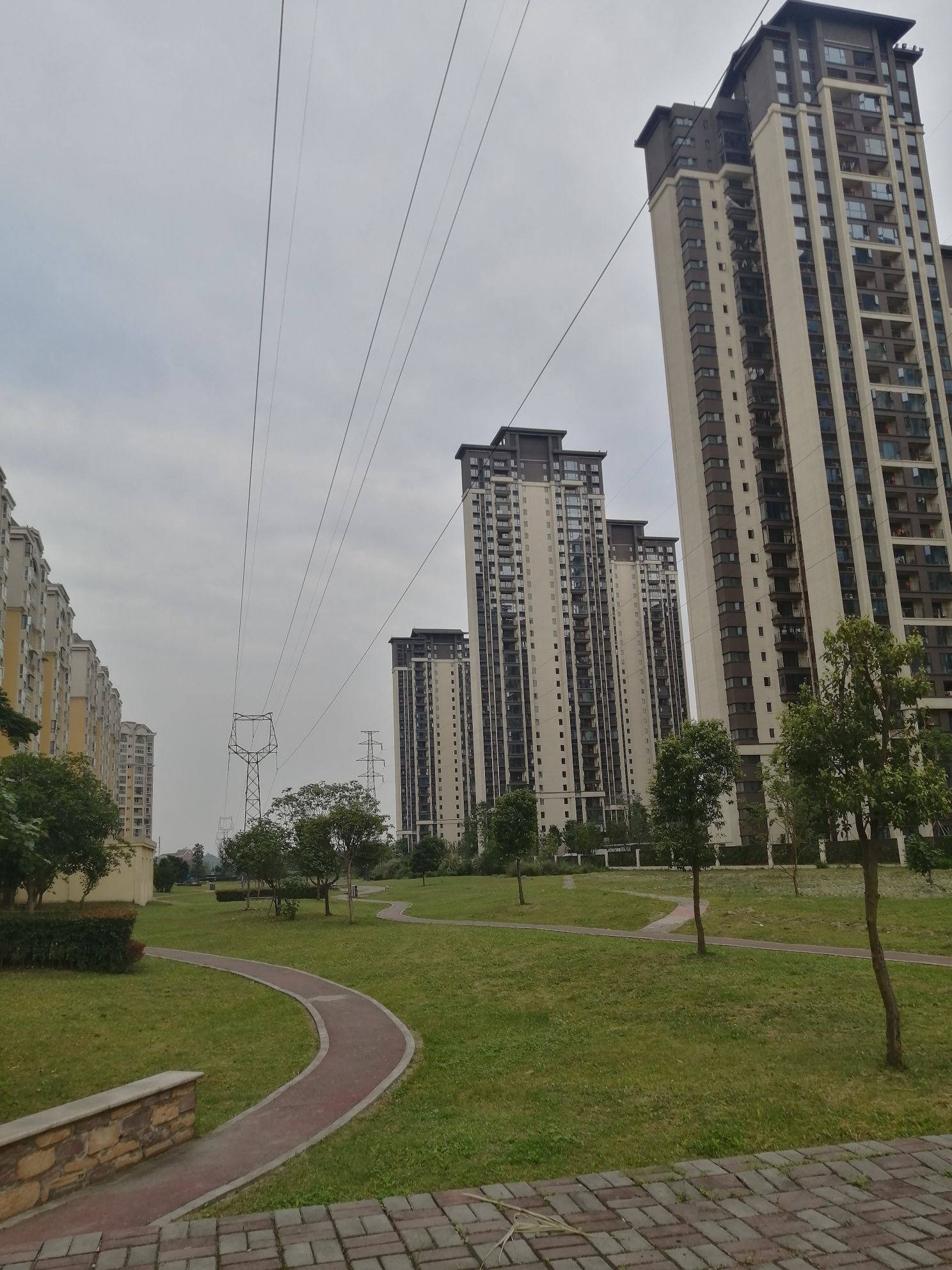 杨柳社区公园旅行图片 3