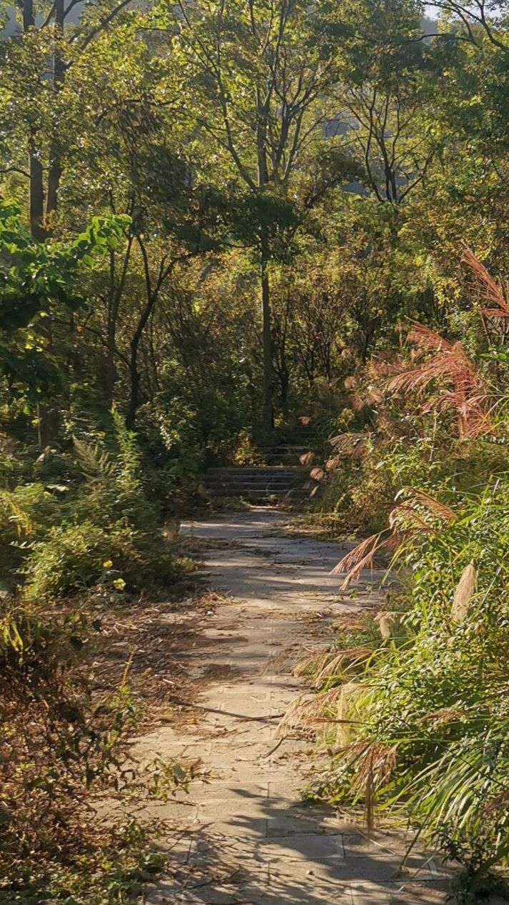 炮台山山体公园旅行图片 2
