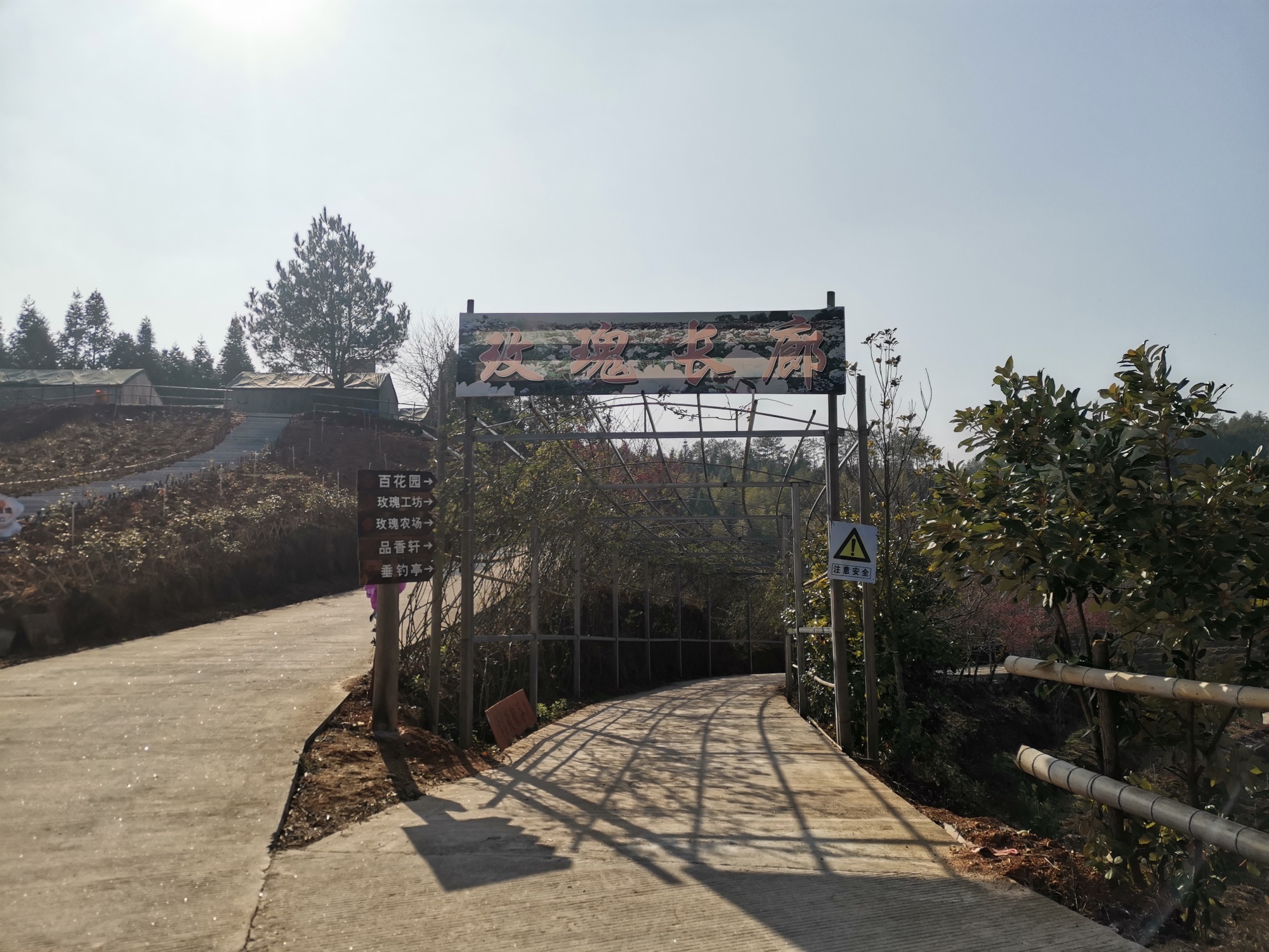 福建玫瑰谷旅行图片 2
