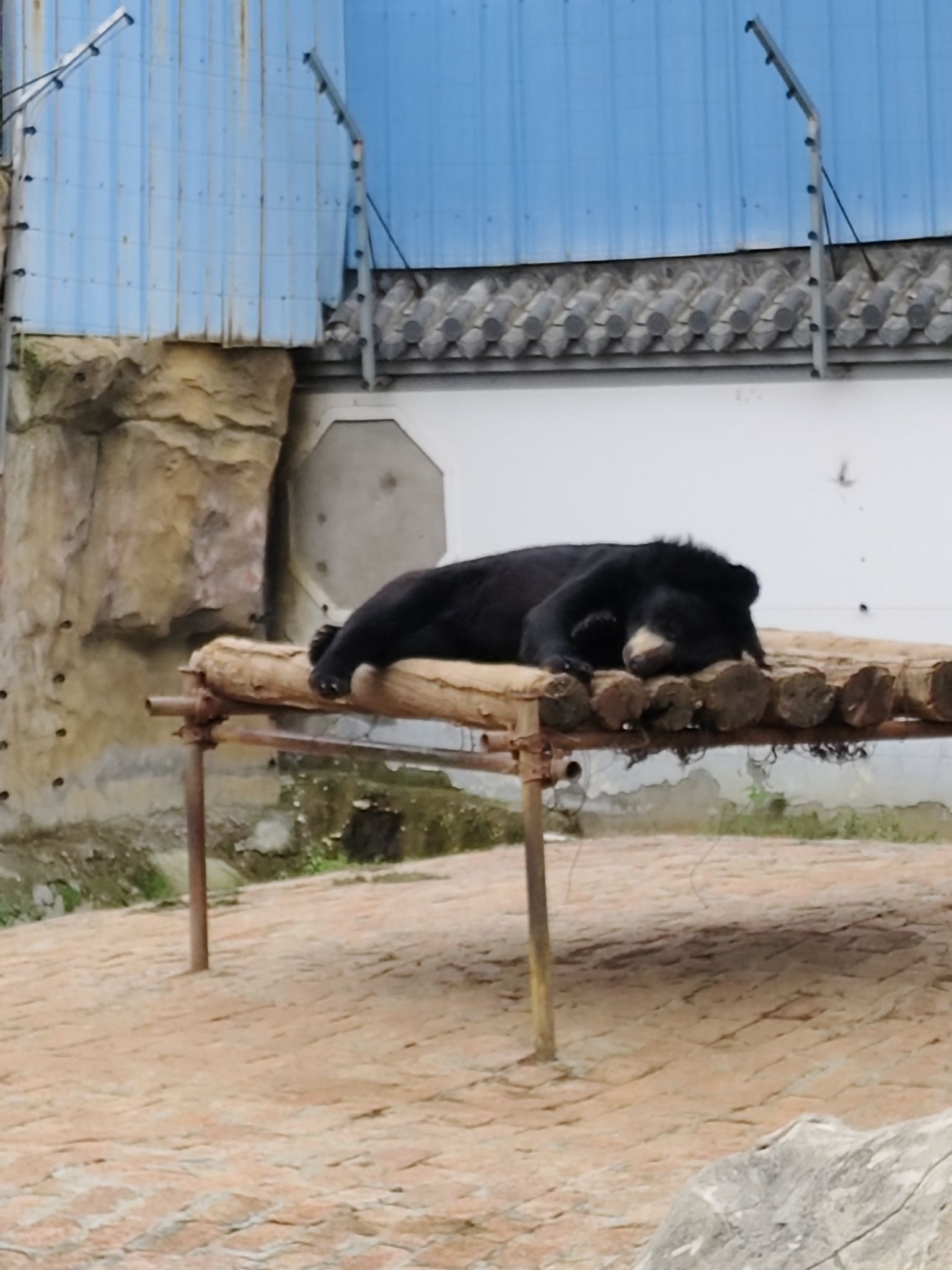蒙城恋蝶谷游乐园旅行图片 3