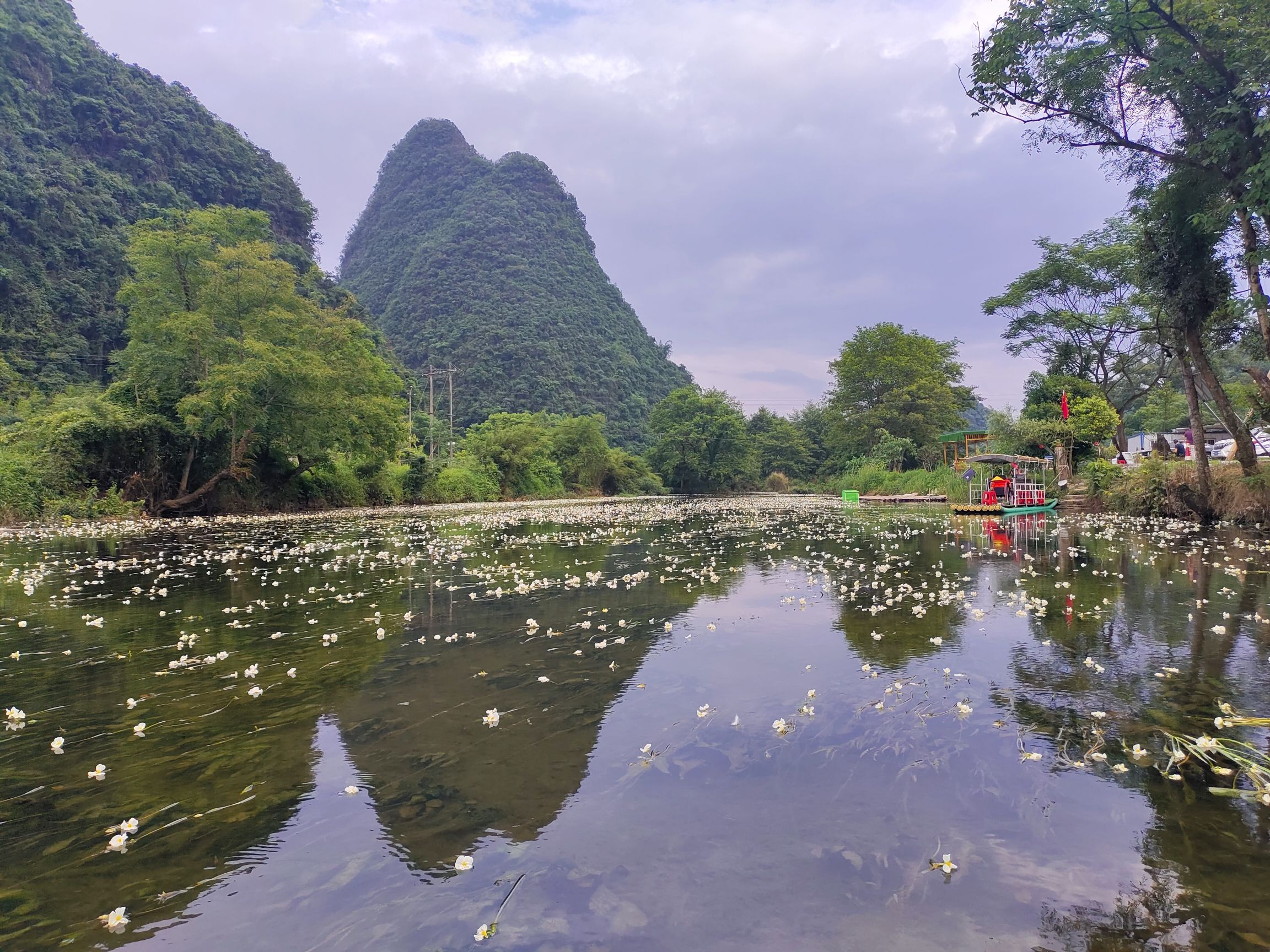 江西村海菜花湿地公园旅行图片 2