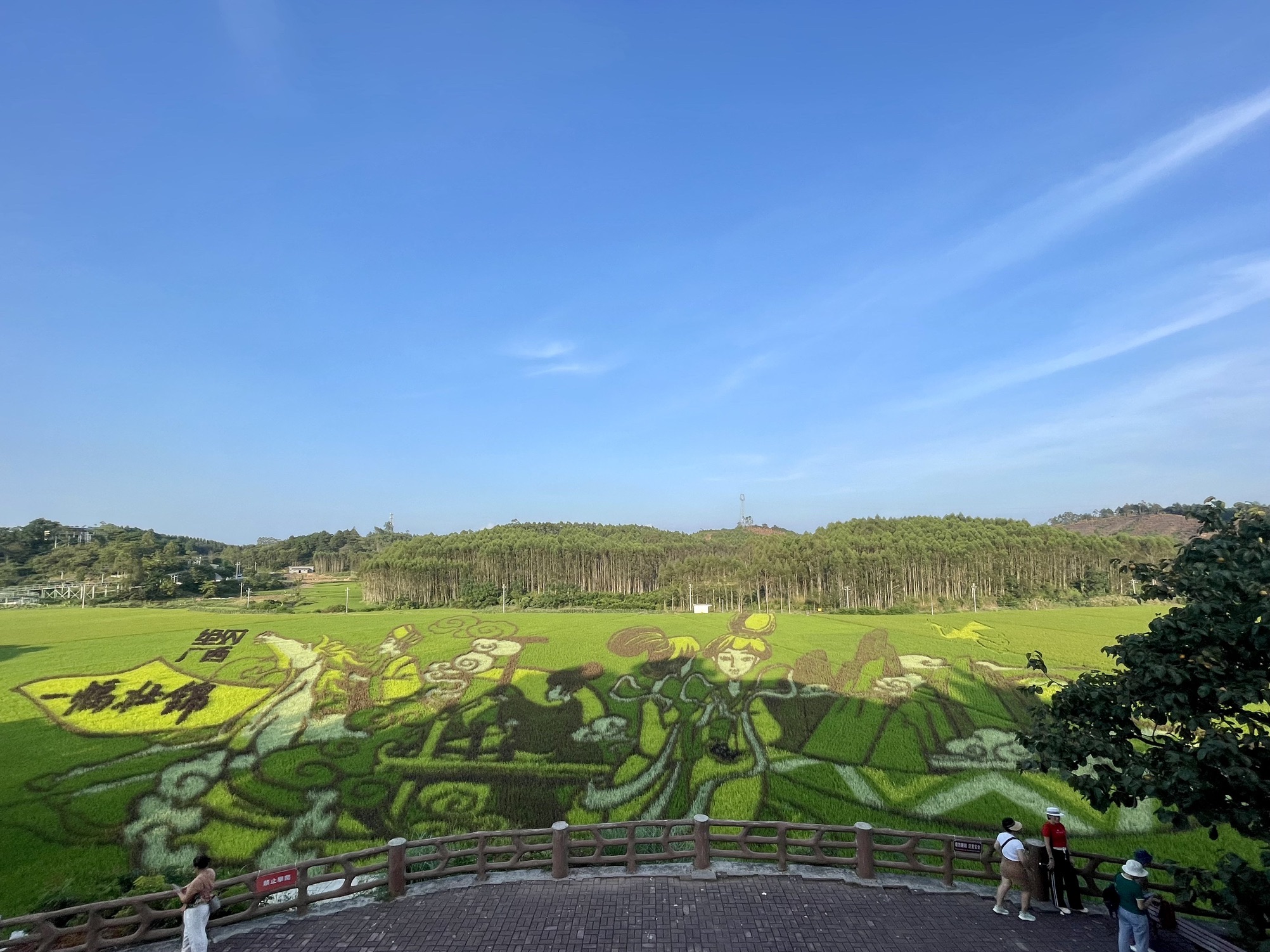 稻花香里旅游区旅行图片 2