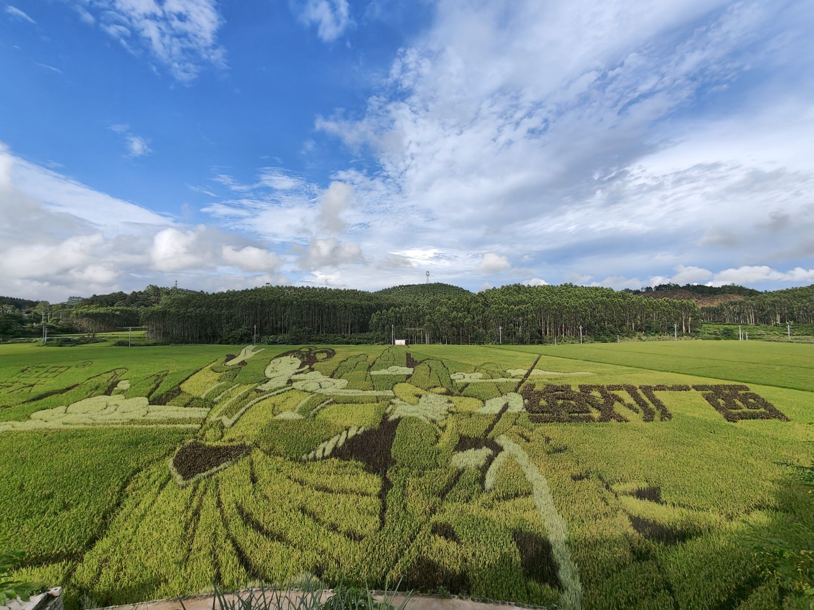 稻花香里旅游区