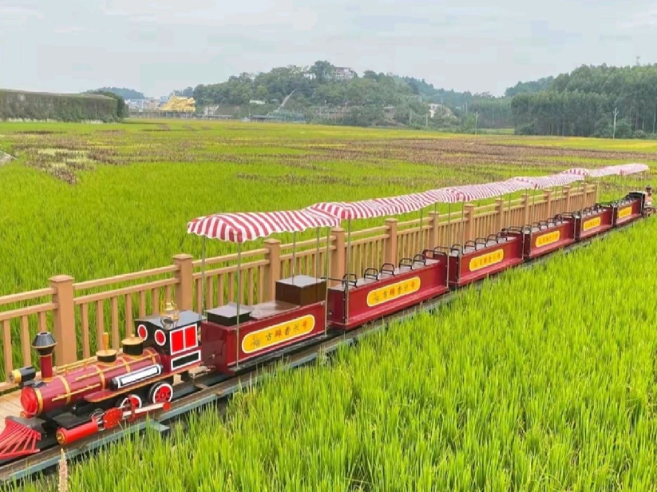 稻花香里旅游区旅行图片 2