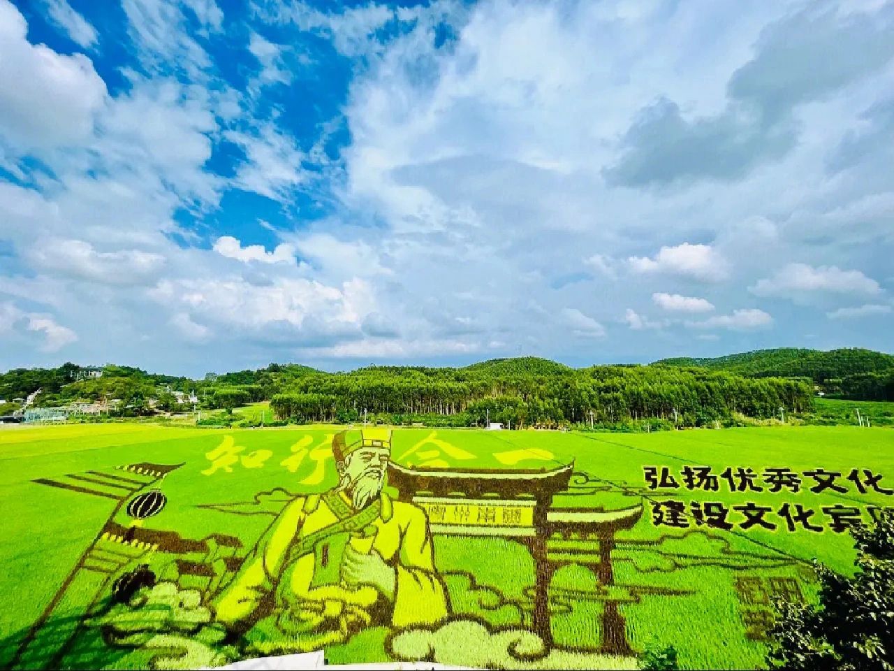 稻花香里旅游区旅行图片 3