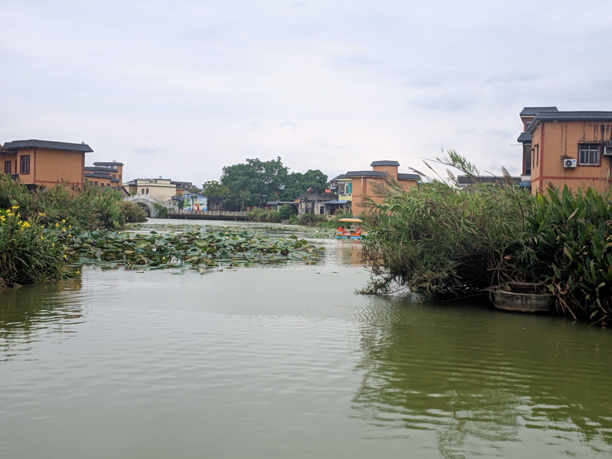 稻花香里旅游区旅行图片 3