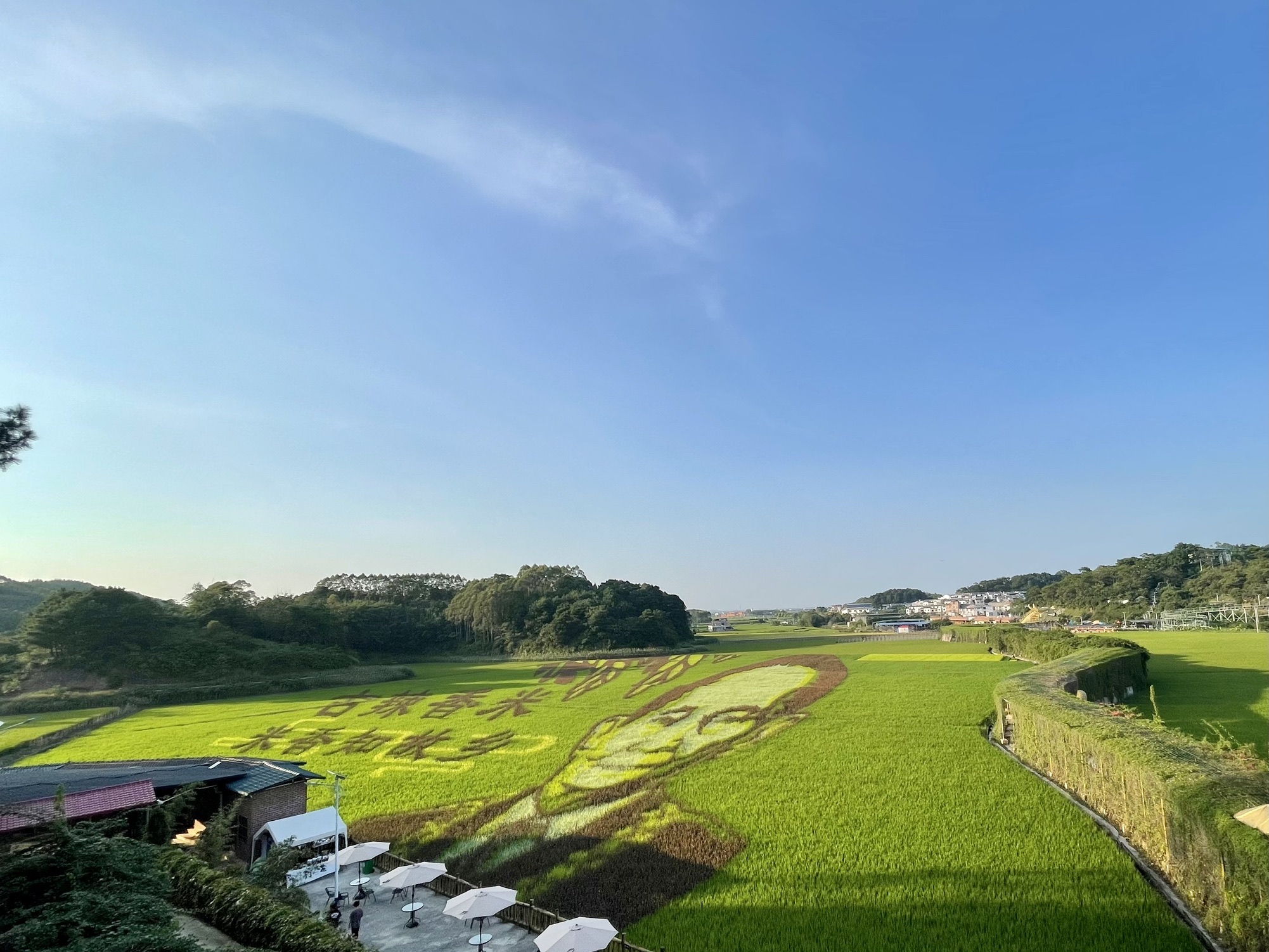 稻花香里旅游区旅行图片 1