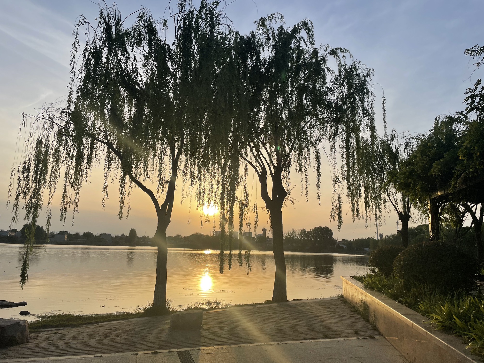 南湖湿地公园旅行图片 2