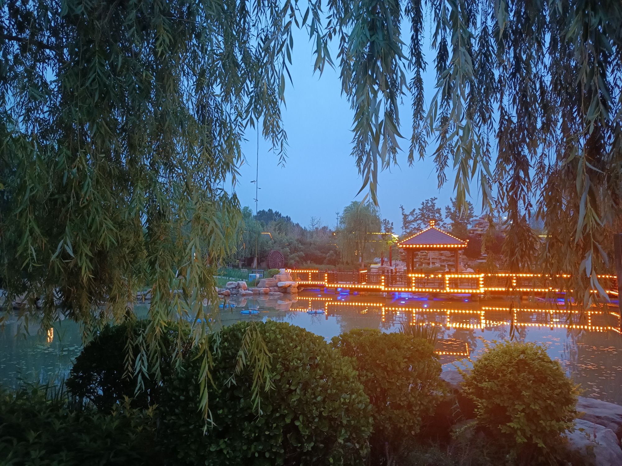 南湖湿地公园旅行图片 3