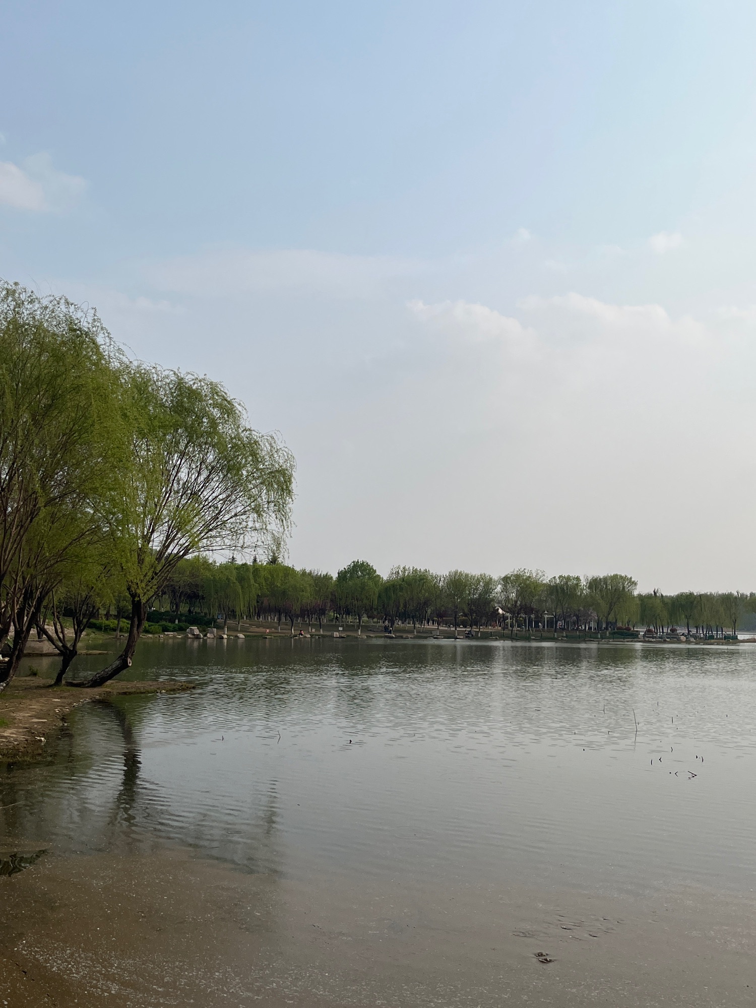 南湖湿地公园旅行图片 1