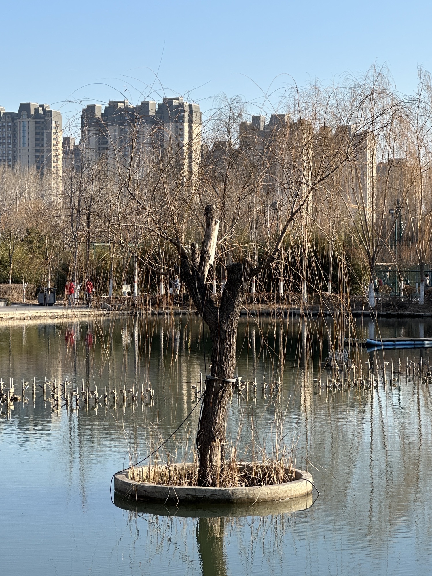 南湖湿地公园旅行图片 1