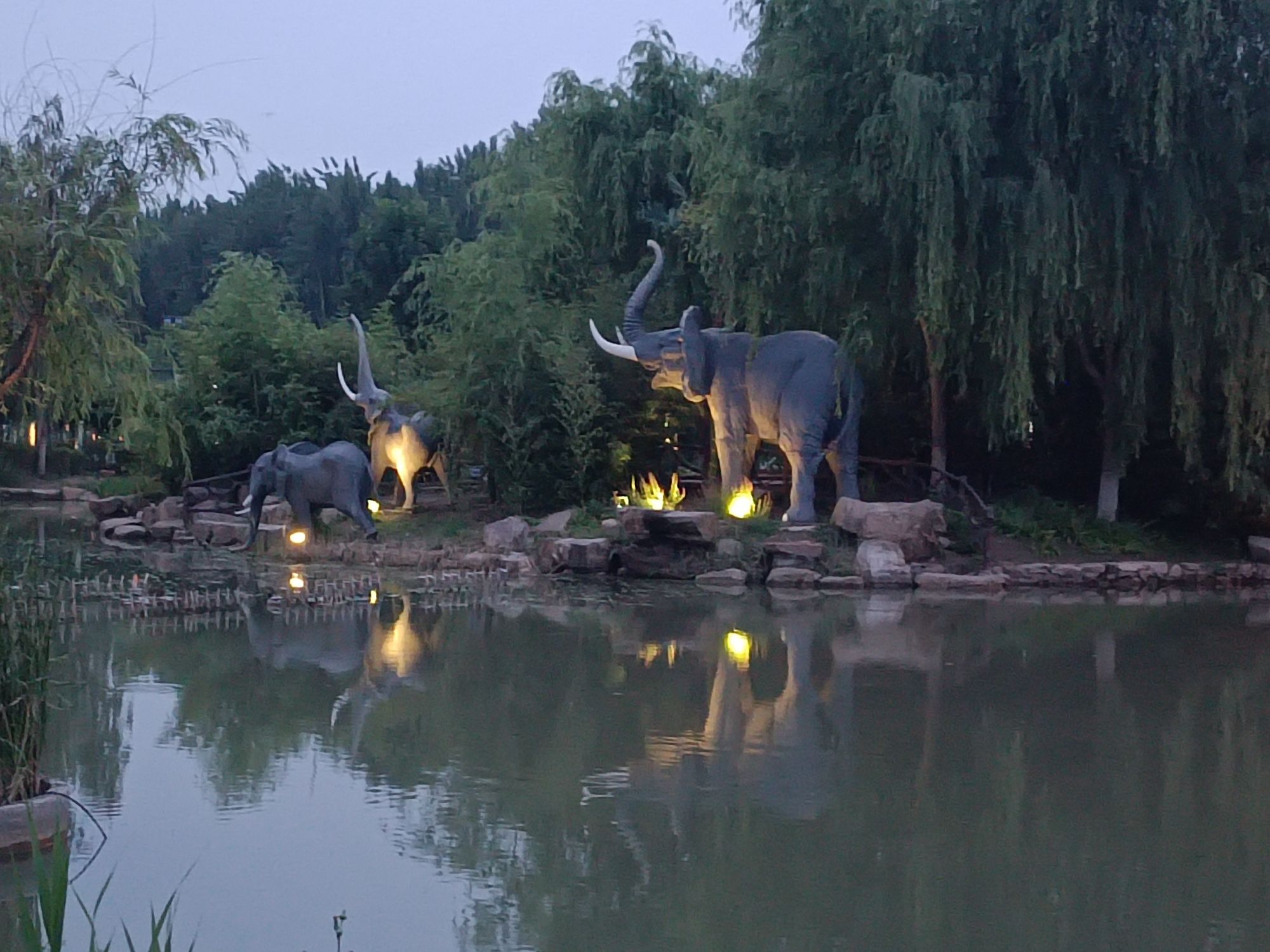 南湖湿地公园旅行图片 1