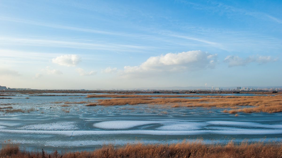 南湖湿地公园
