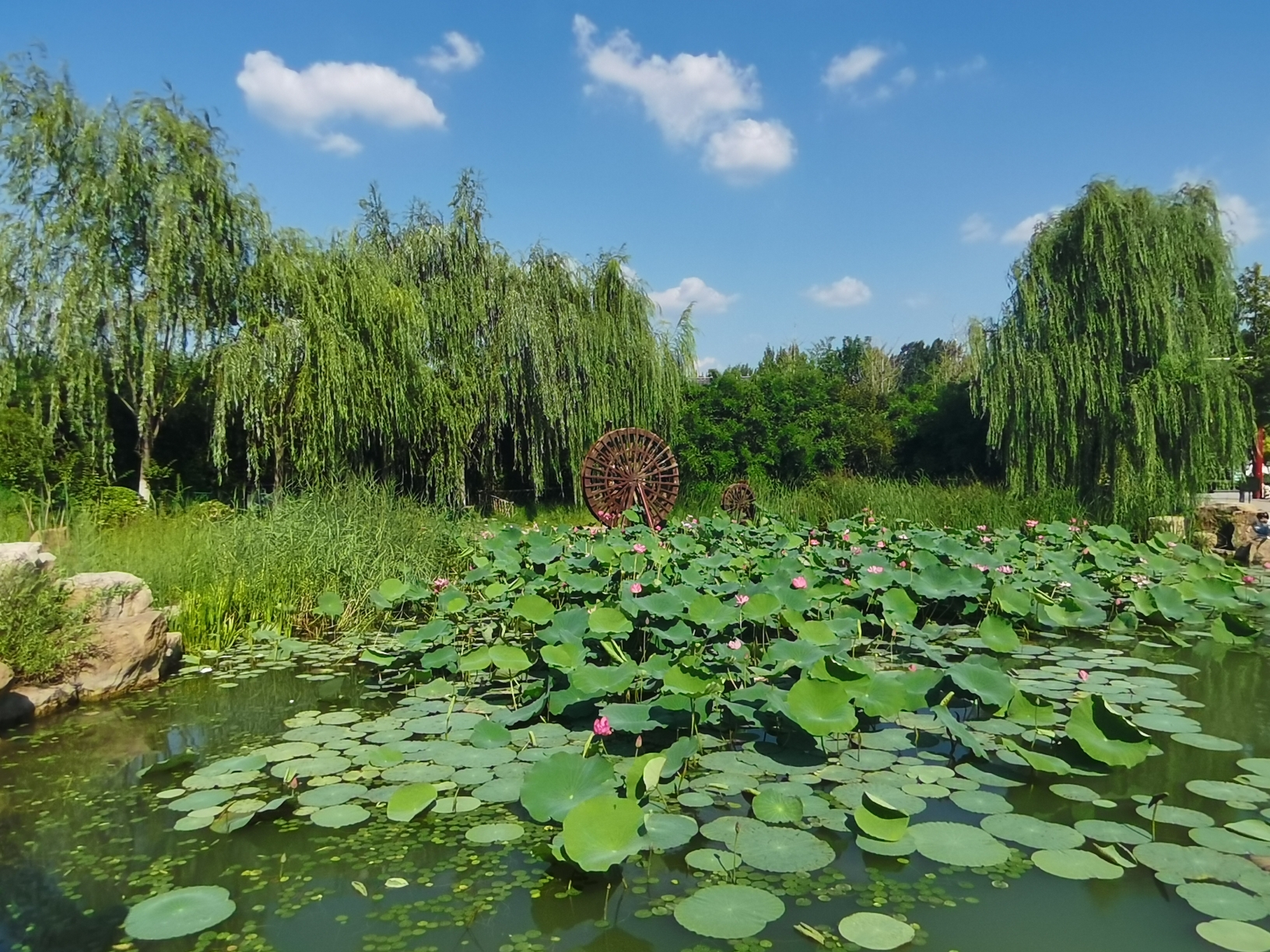 南湖湿地公园