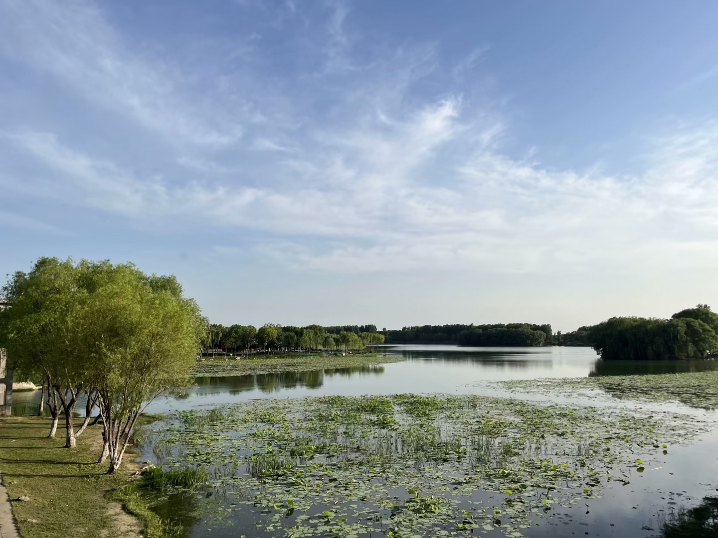 南湖湿地公园