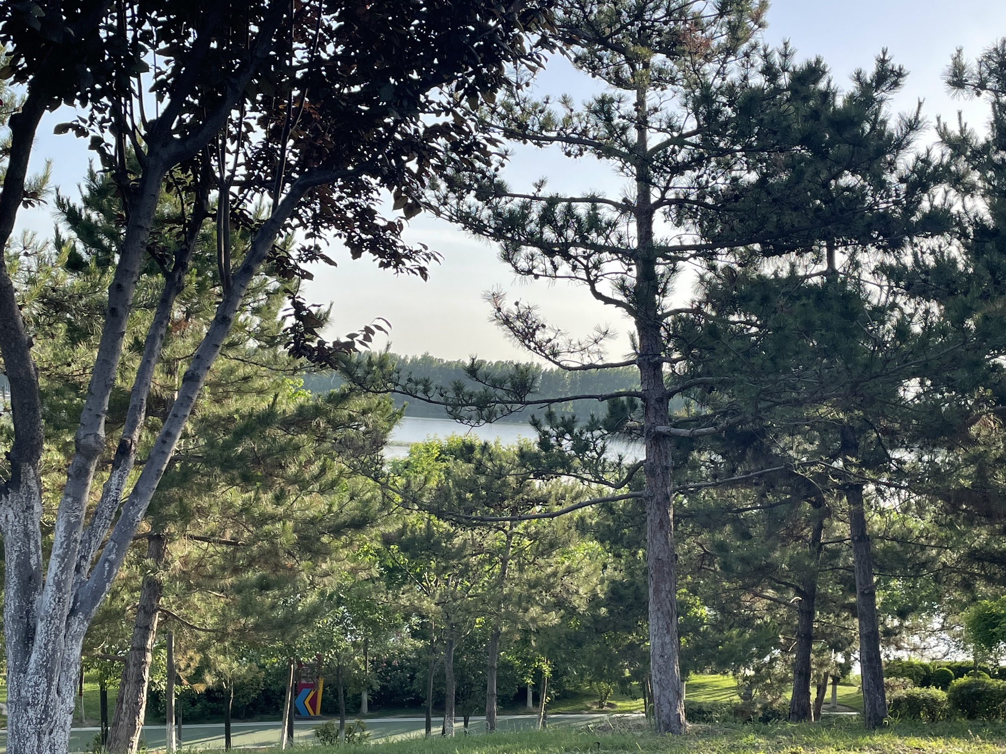 南湖湿地公园旅行图片 1