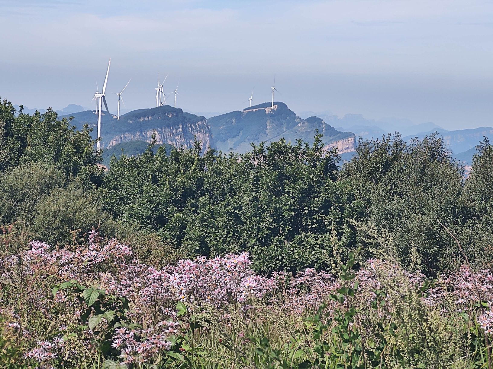 昔阳县黄庵垴风景区旅行图片 3