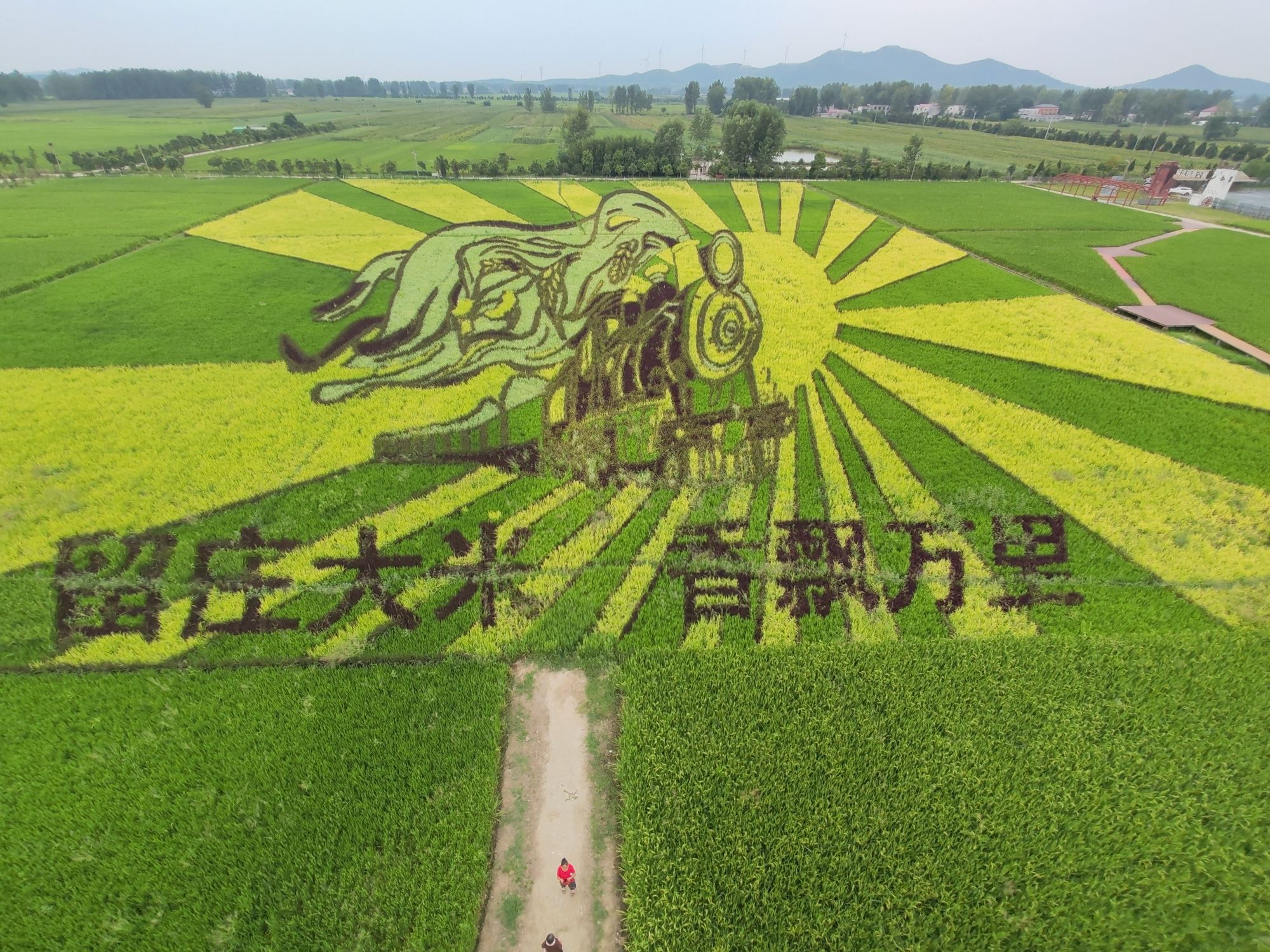 留庄稻田公园旅行图片 3