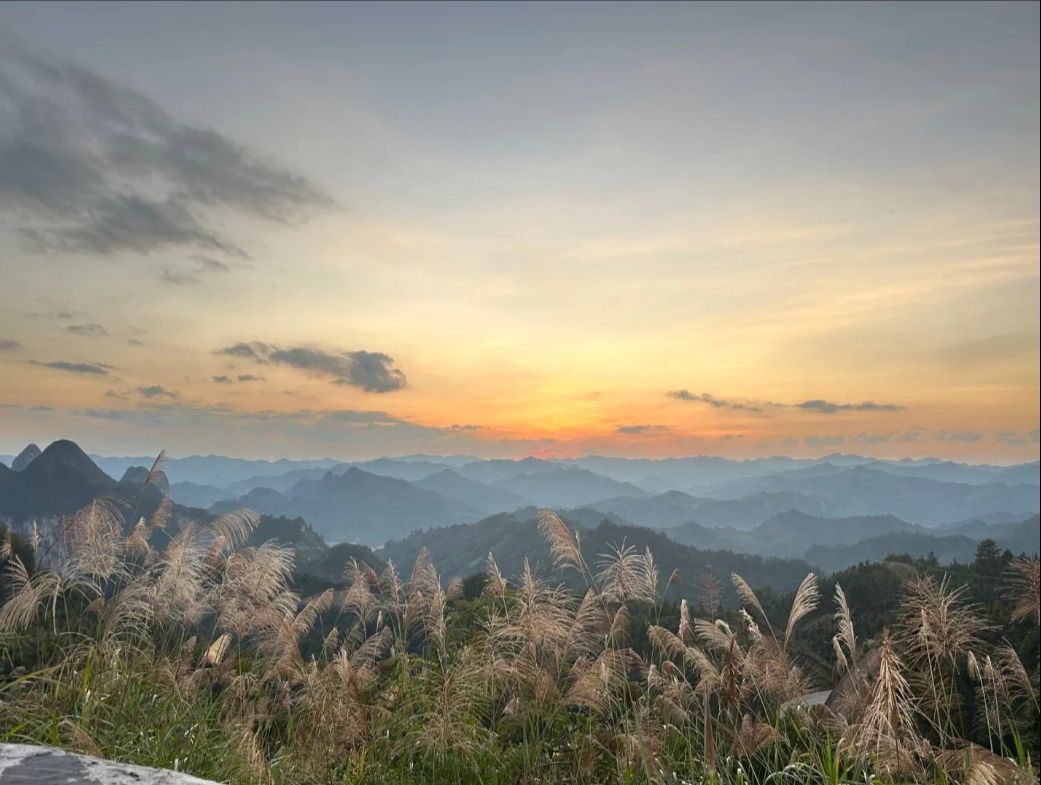 寿源云海旅行图片 3