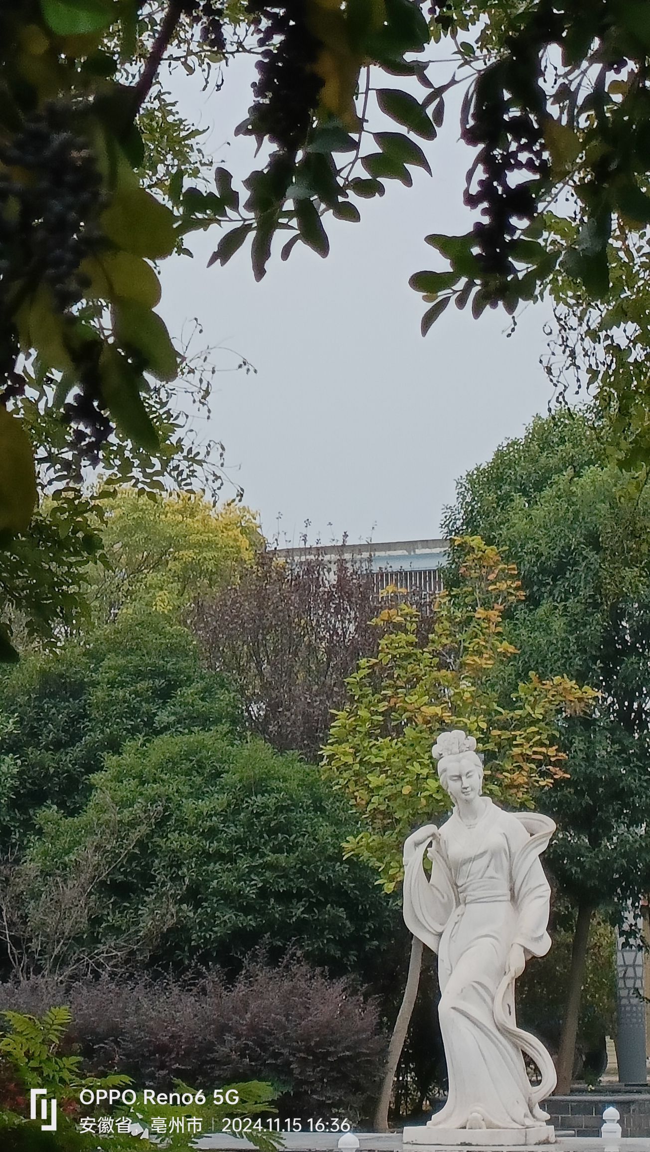 西施公园旅行图片 1