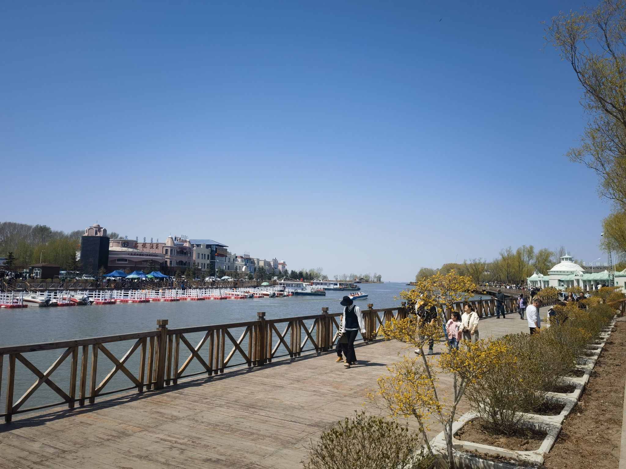 查干高娃广场旅行图片 3