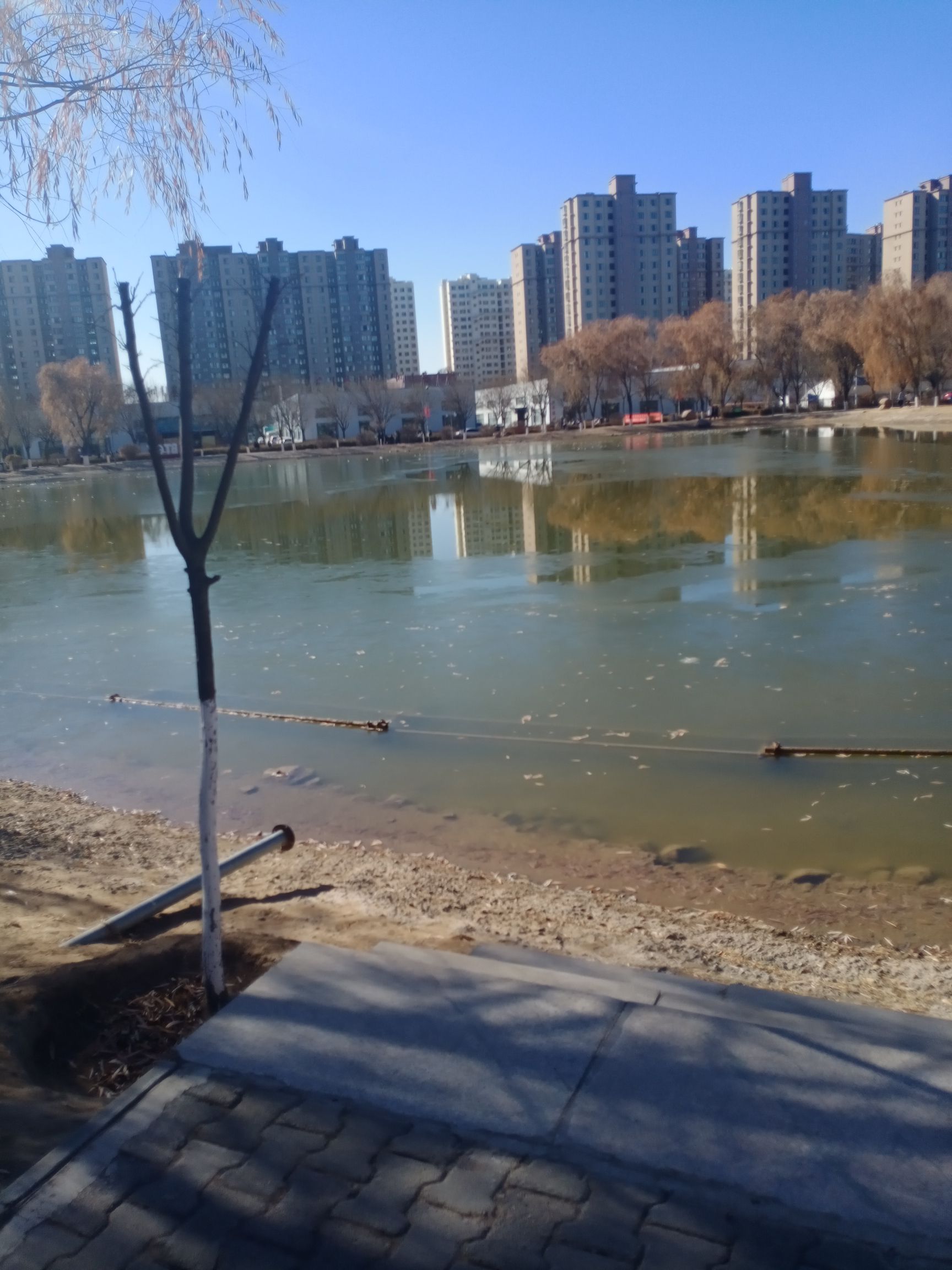 腾格里湖旅行图片 1
