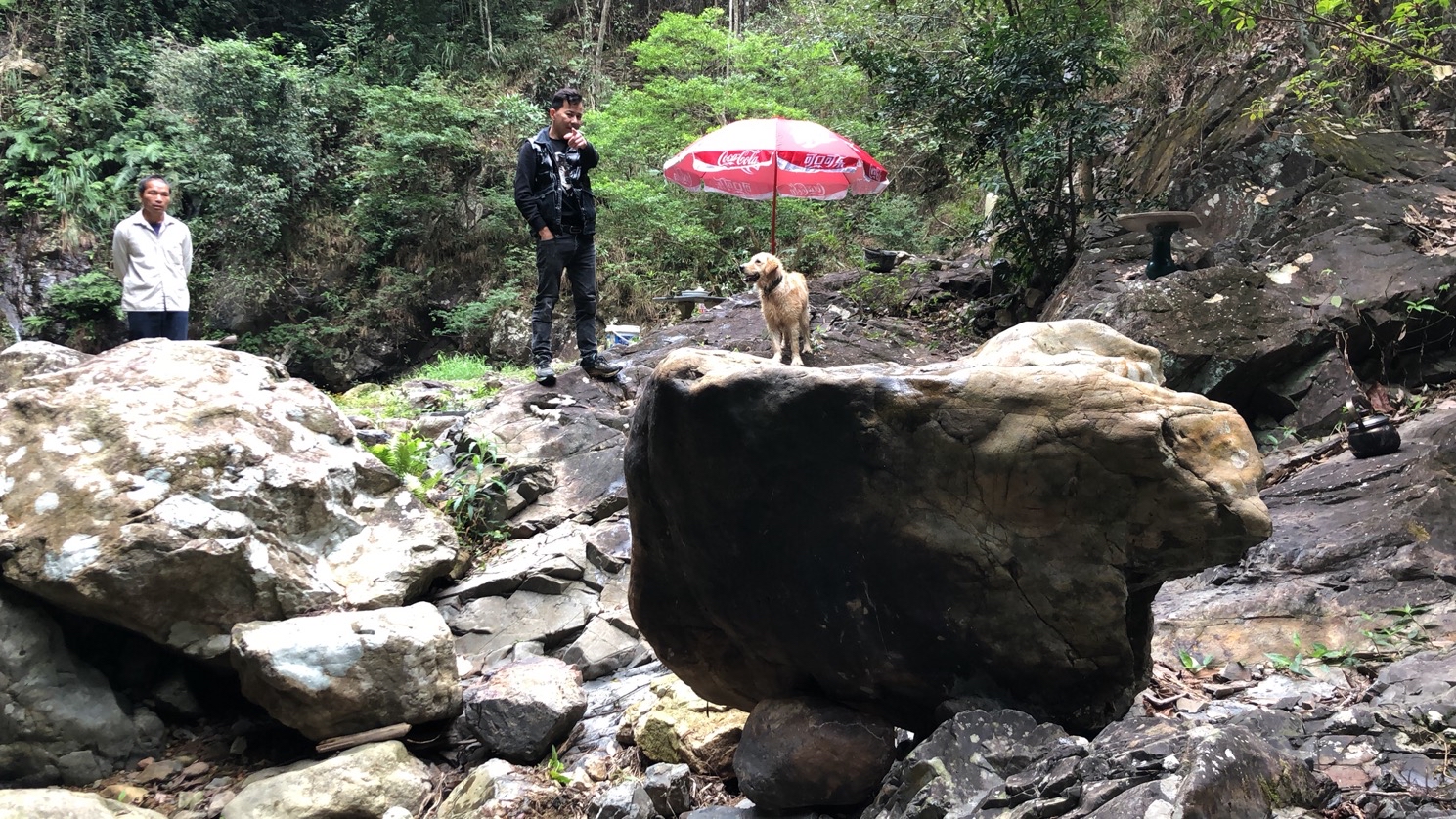 石鮍谷风景区旅行图片 3