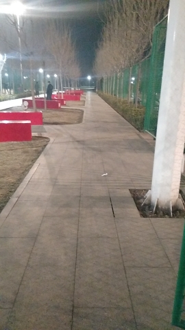 体育公园旅行图片 3