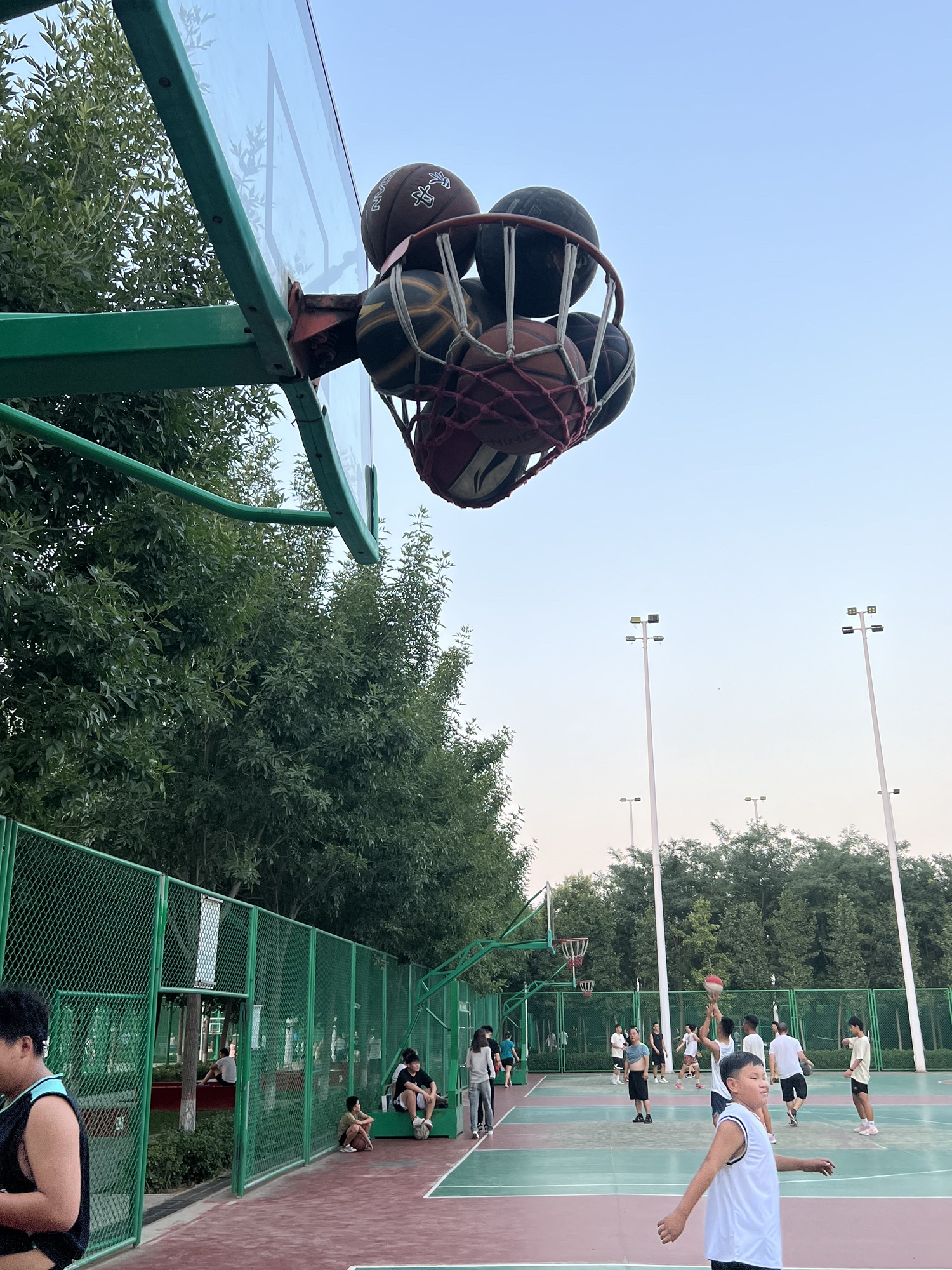 体育公园旅行图片 2