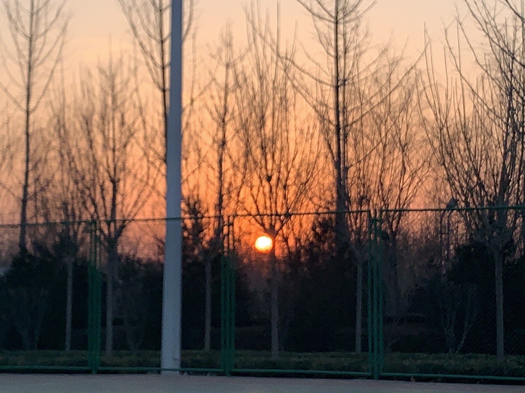 体育公园旅行图片 1