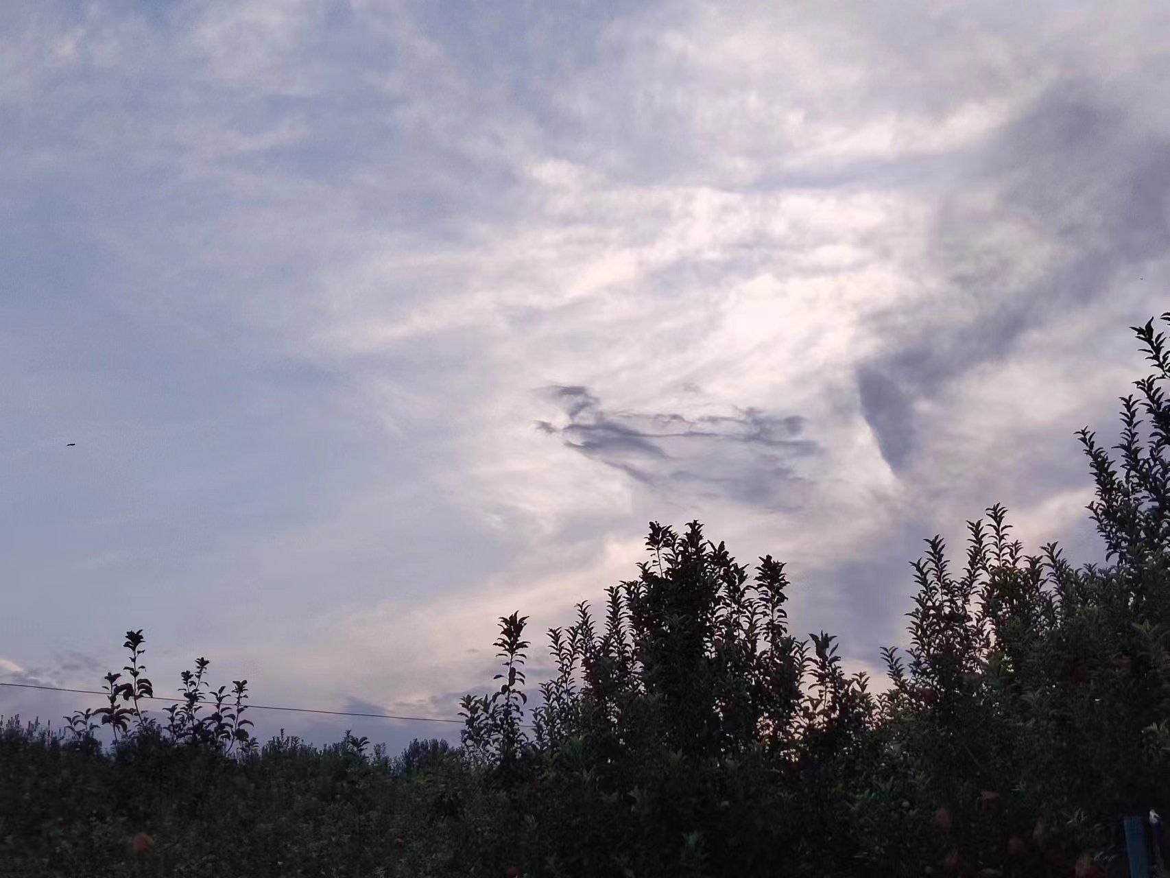 体育公园旅行图片 2
