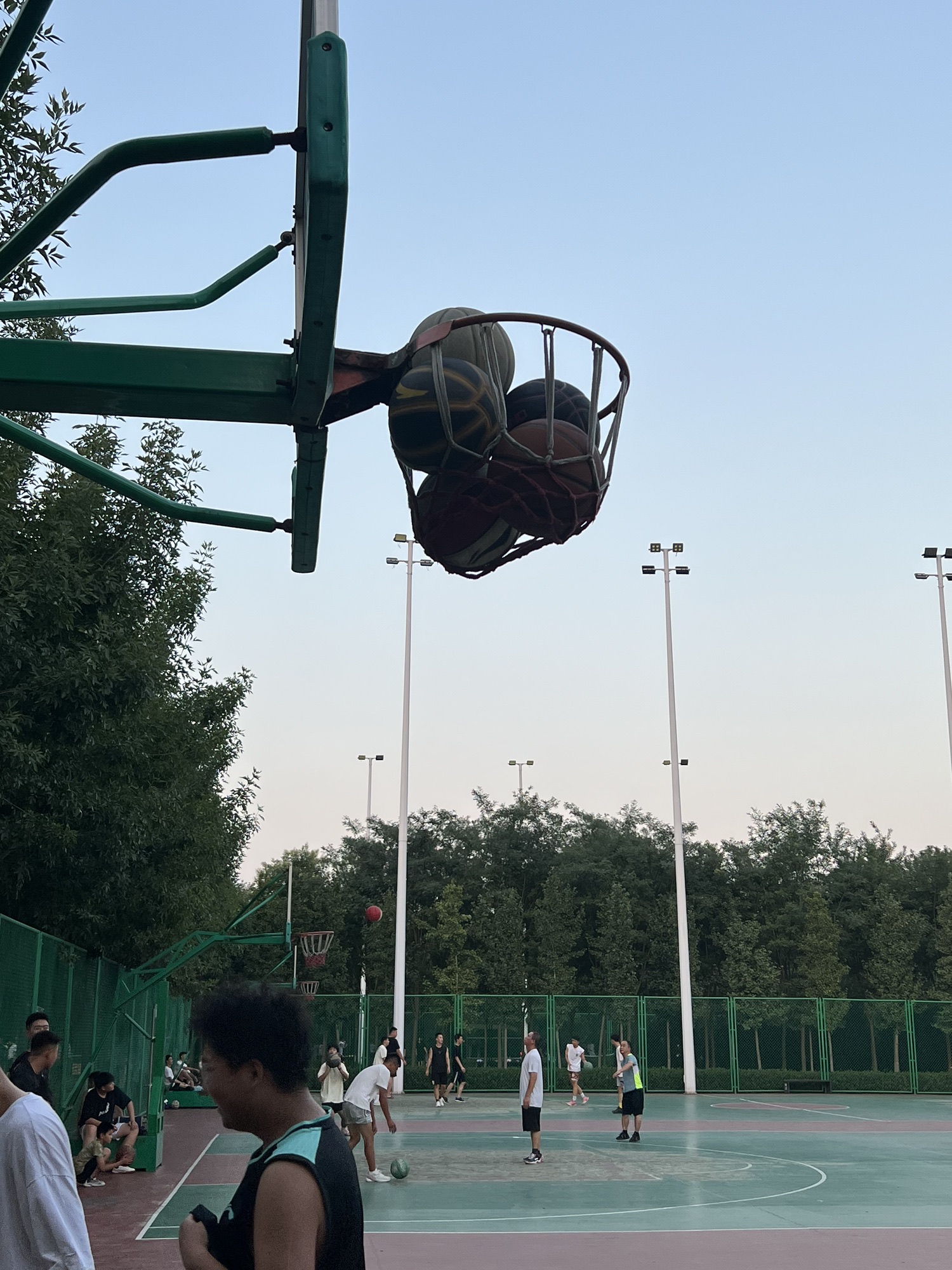 体育公园旅行图片 3