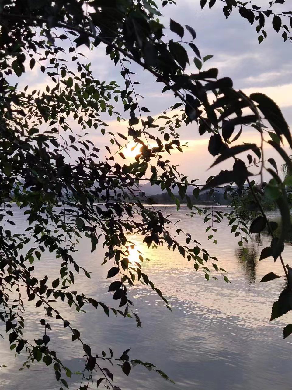体育公园旅行图片 3