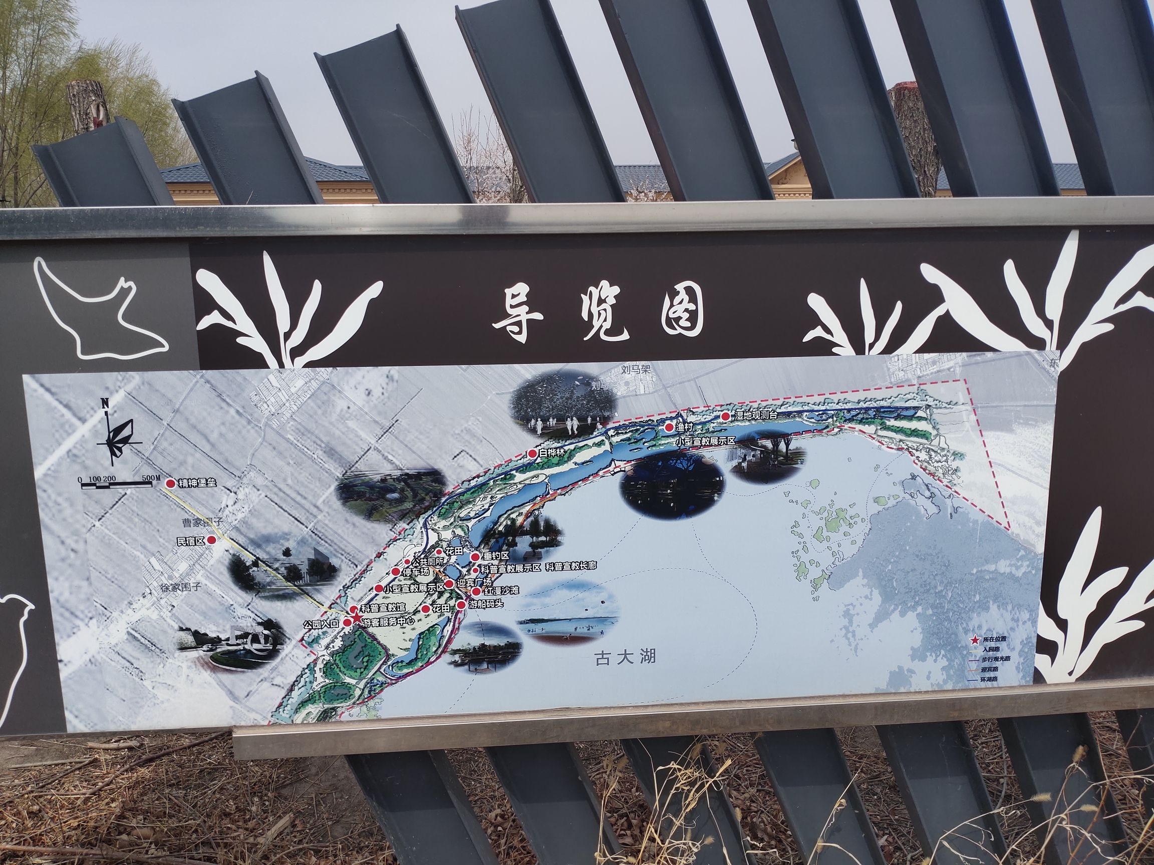 黑龙江安达古大湖国家湿地公园旅行图片 2
