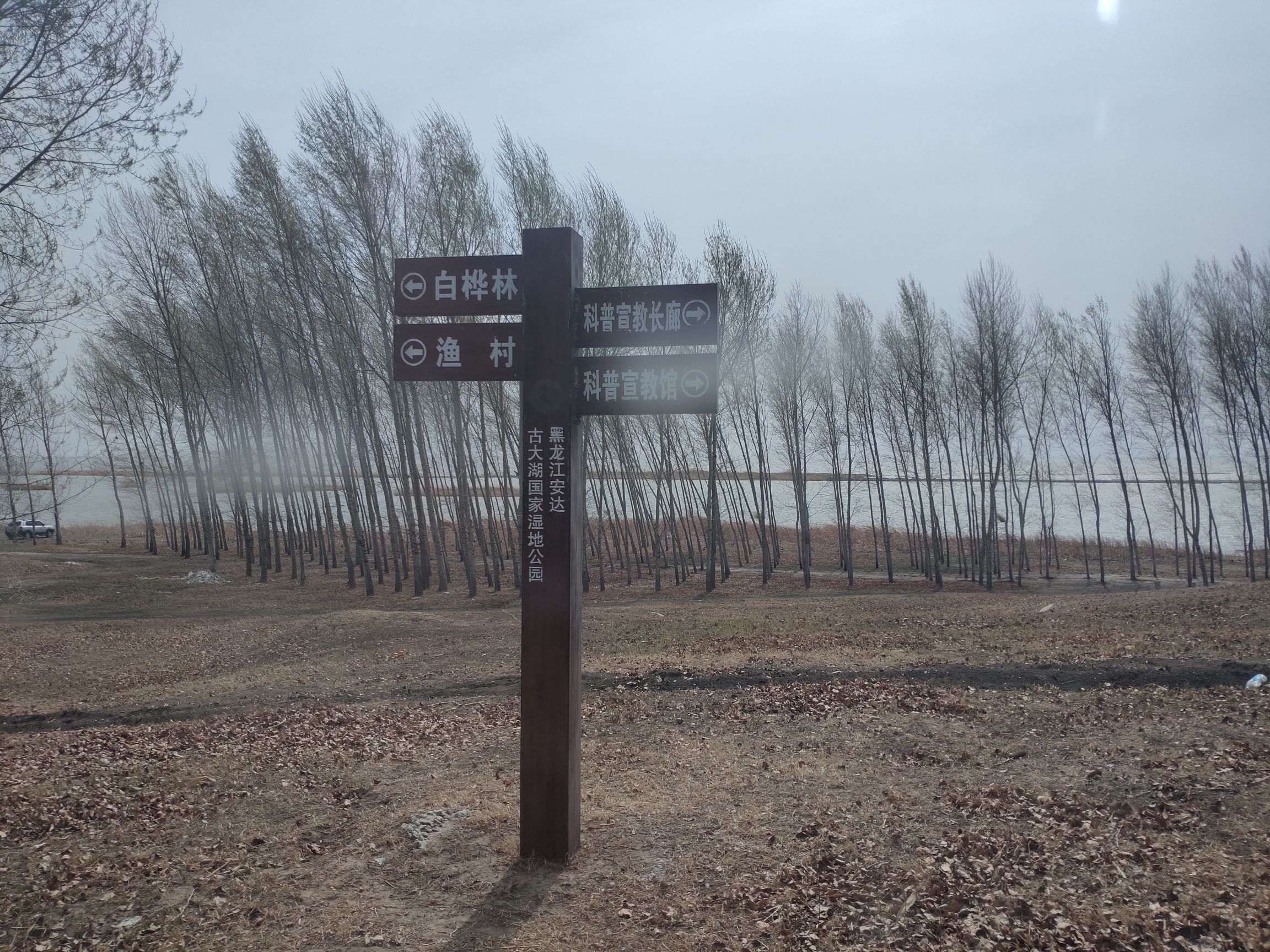 黑龙江安达古大湖国家湿地公园旅行图片 3