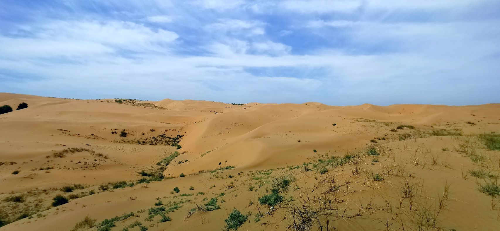捉鳖湾旅游点旅行图片 3