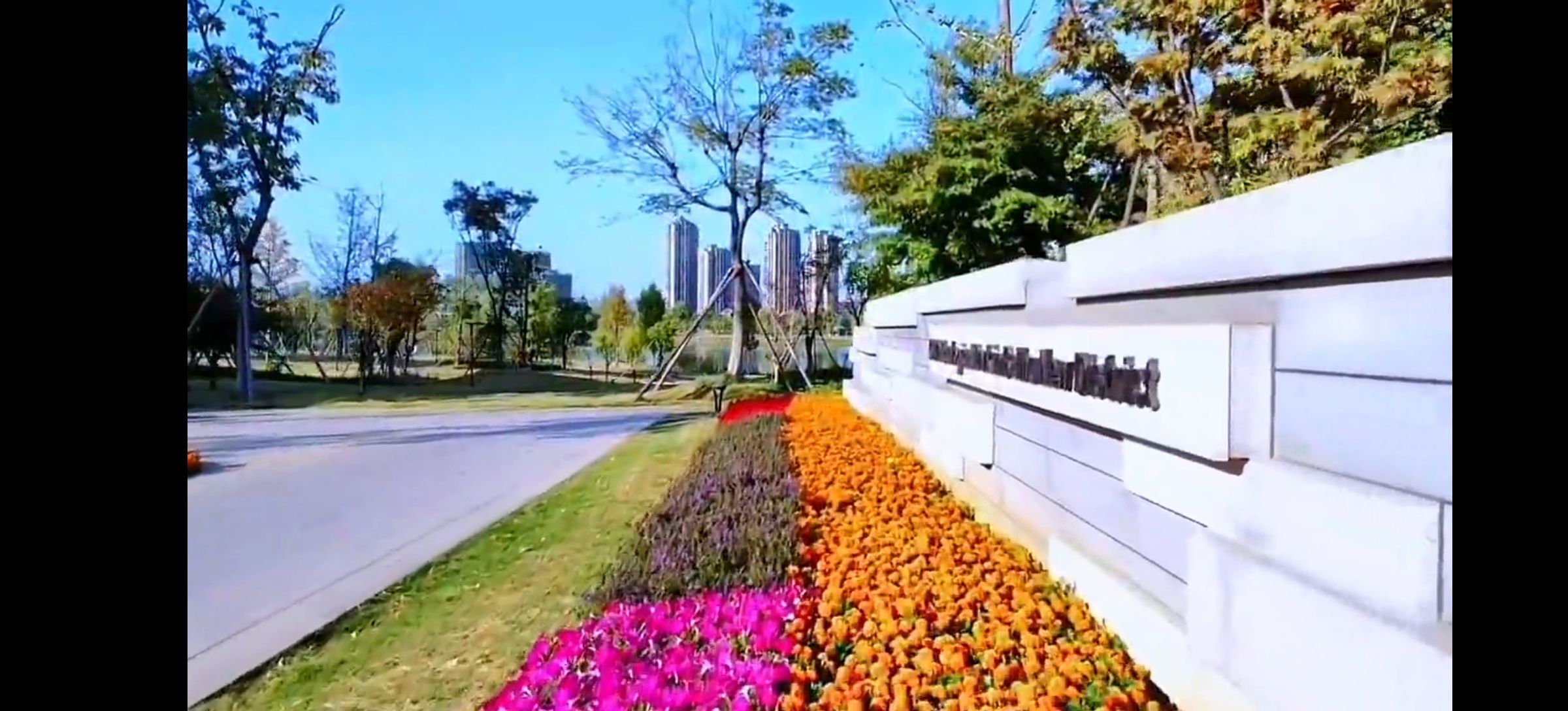 CBD生态公园旅行图片 2