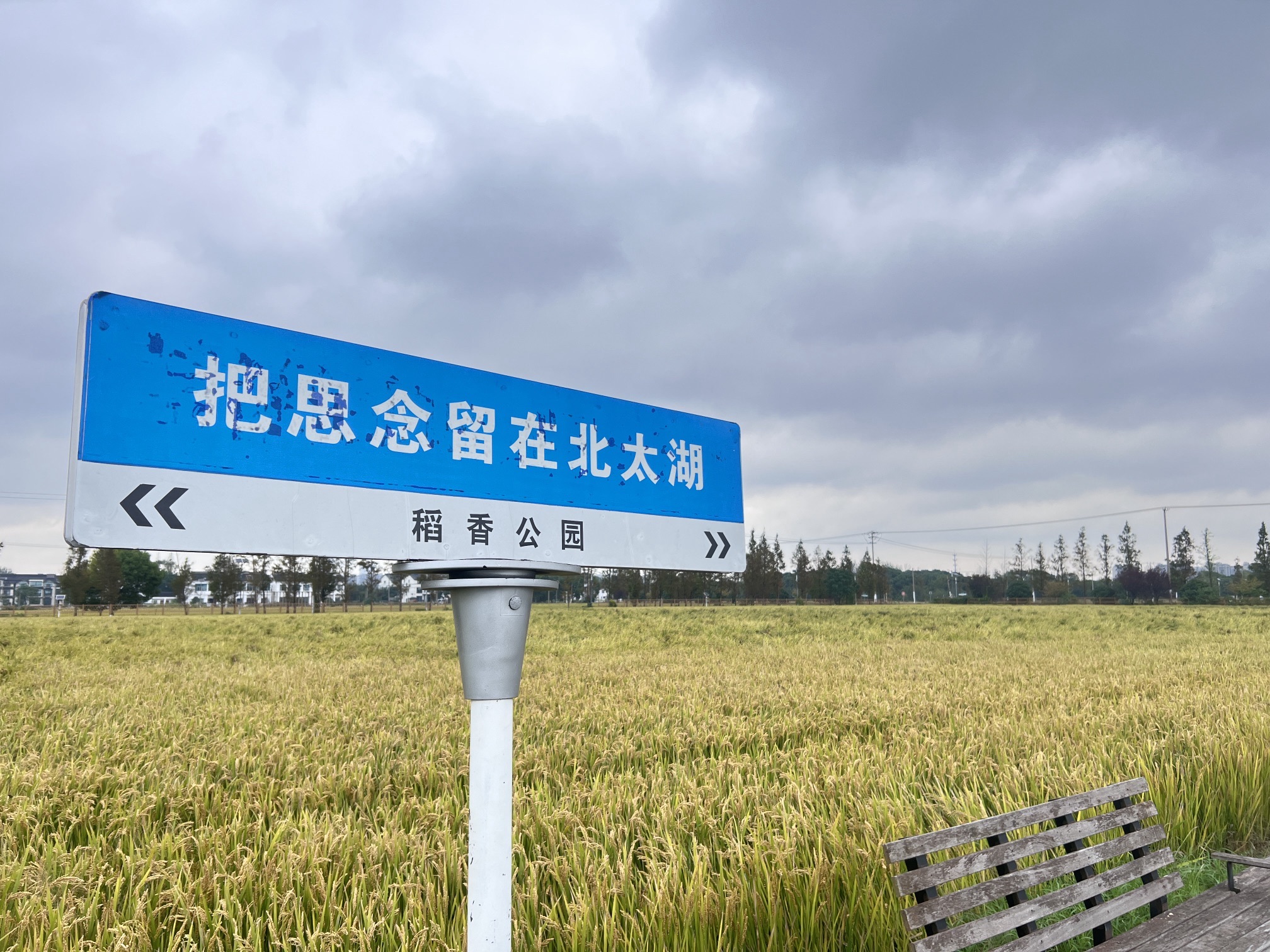 稻香公园旅行图片 1