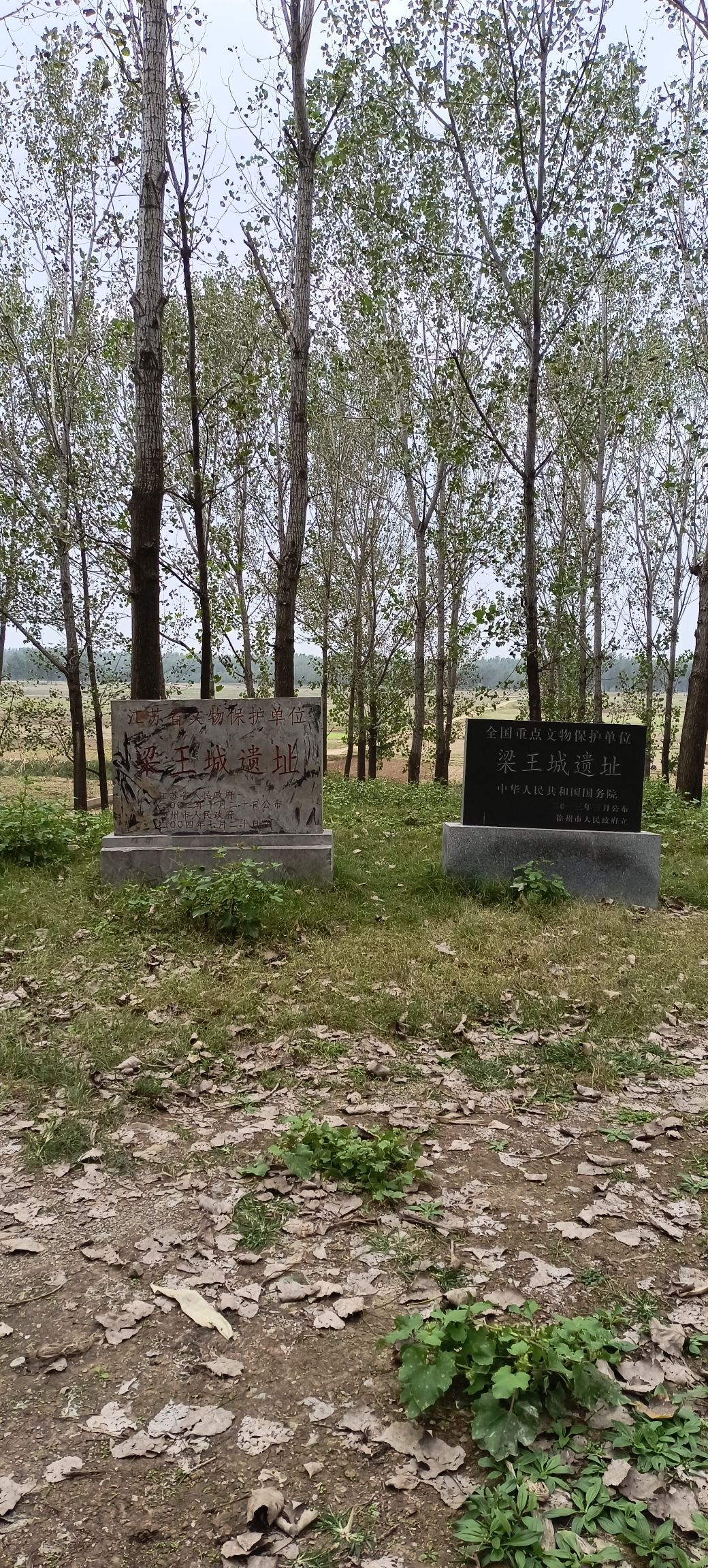 梁王城遗址旅行图片 2