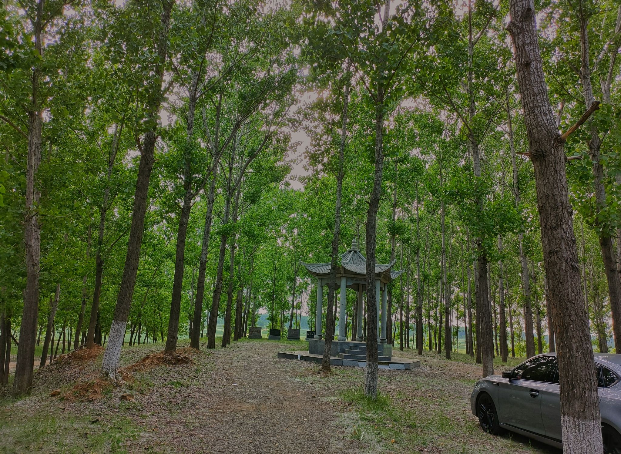 梁王城遗址旅行图片 2