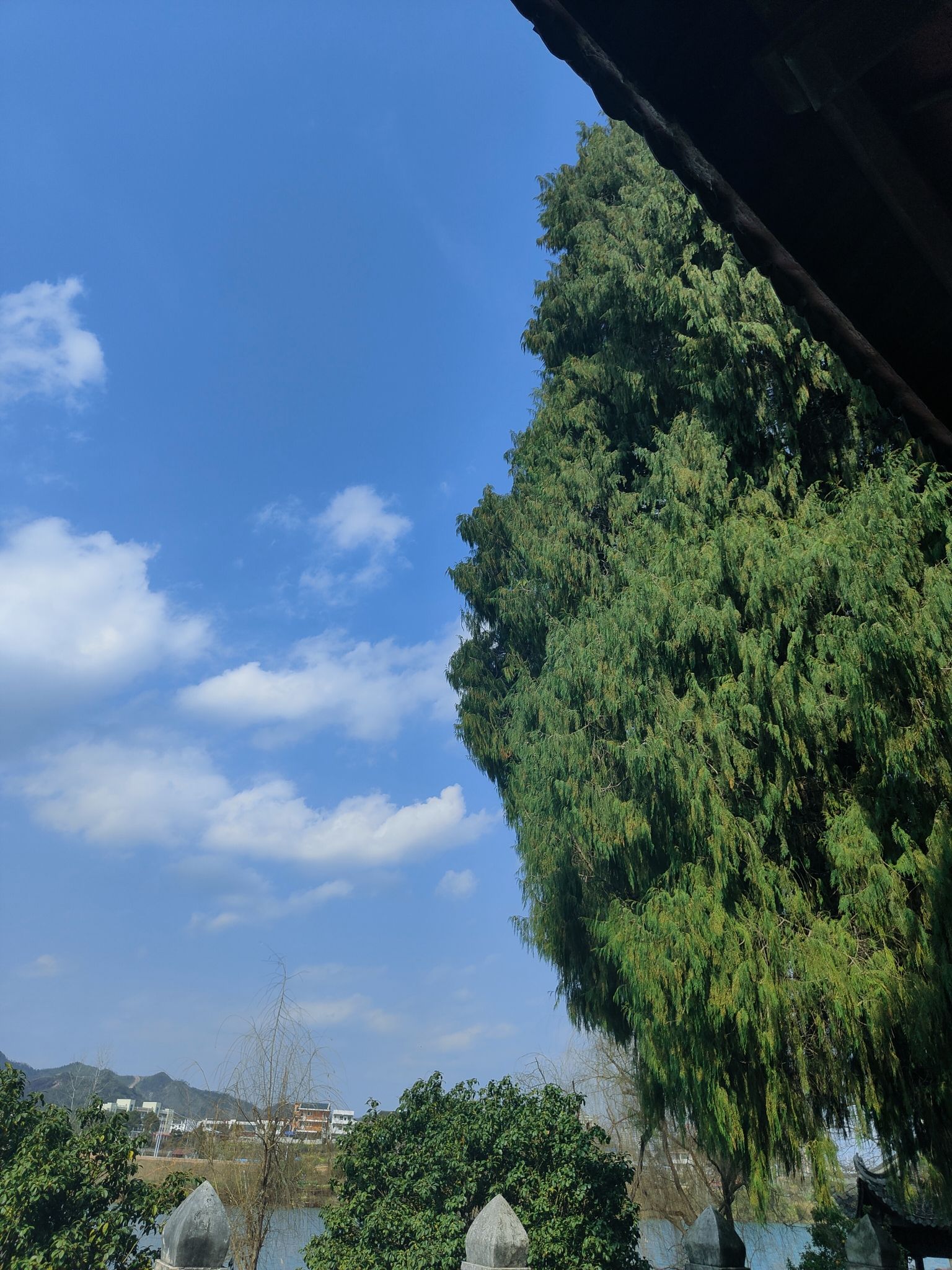 水源山花海