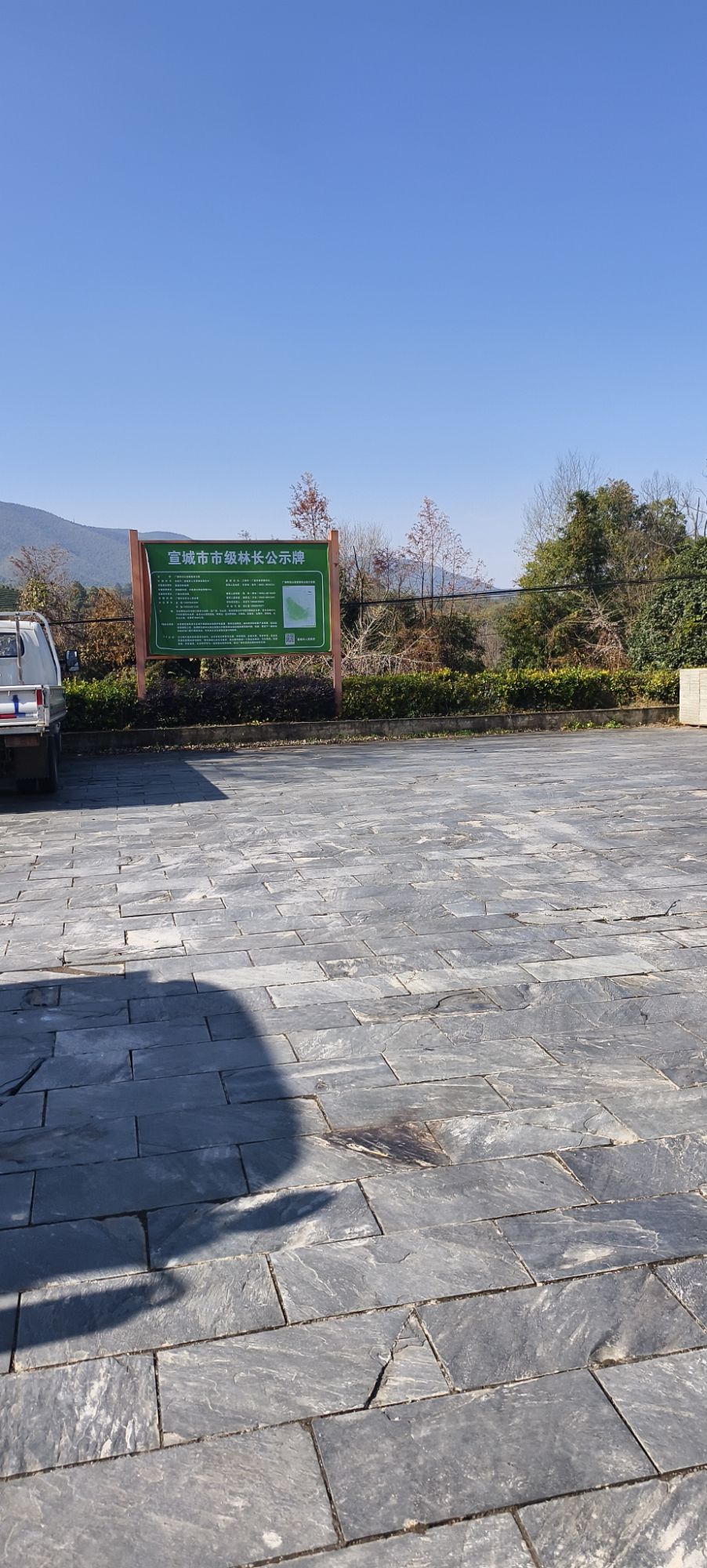 阳岱山省级森林公园旅行图片 2