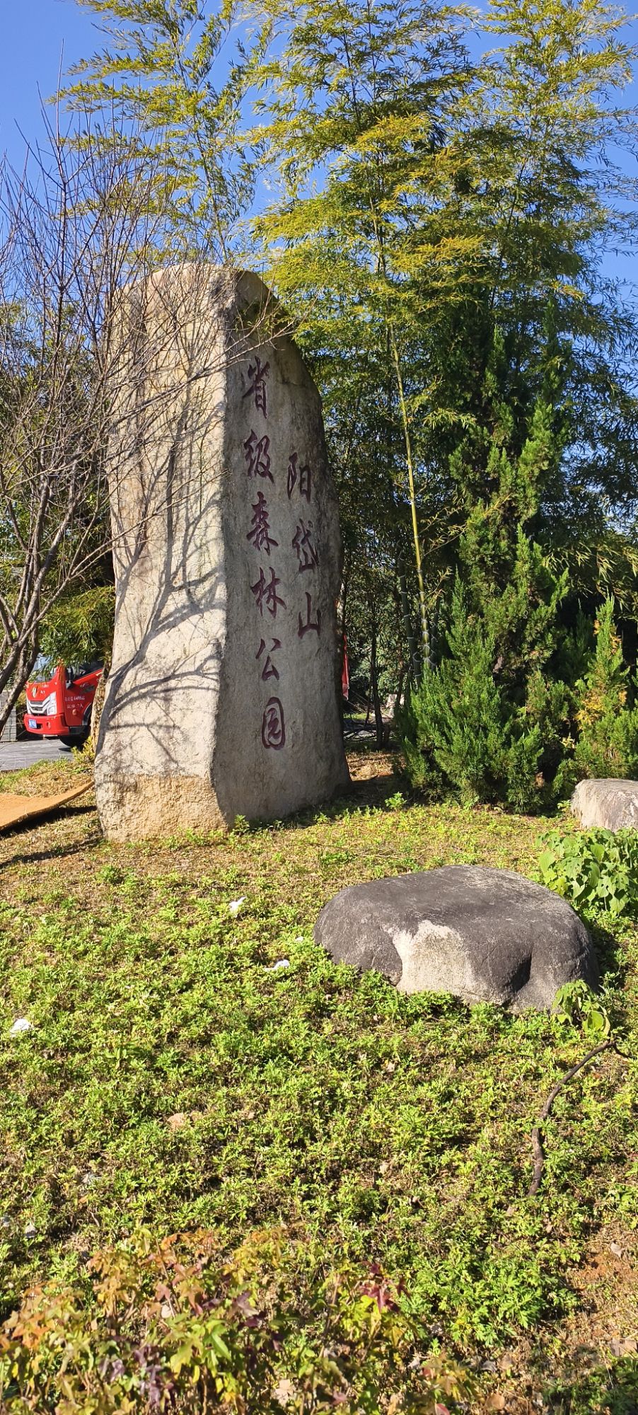 阳岱山省级森林公园旅行图片 3