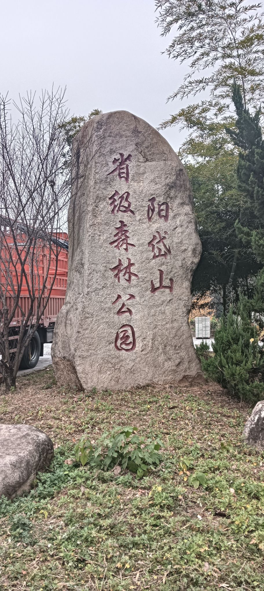 阳岱山省级森林公园旅行图片 1