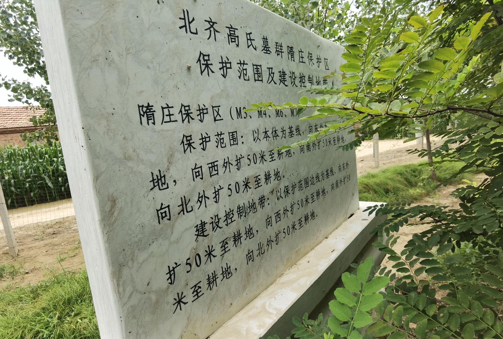 高氏墓群旅行图片 3