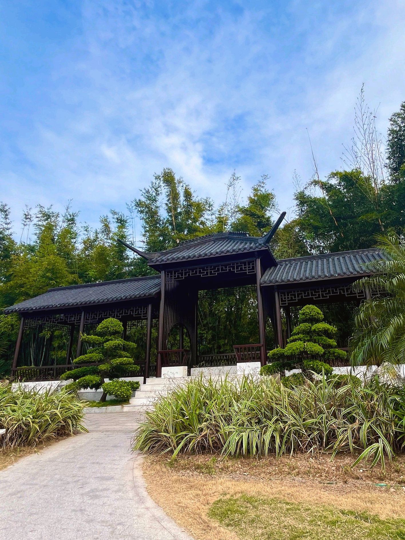锦泰公园旅行图片 2